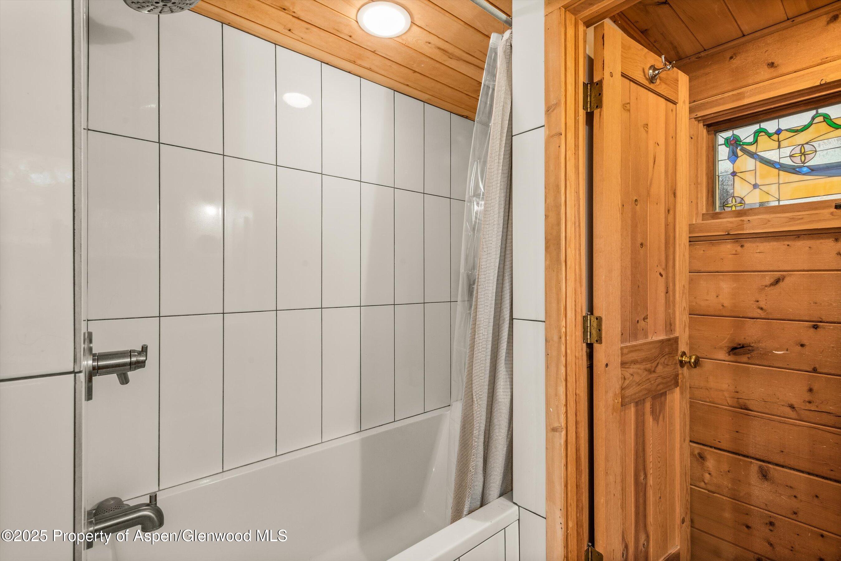 166 Ute Trail Carbondale CO 81623