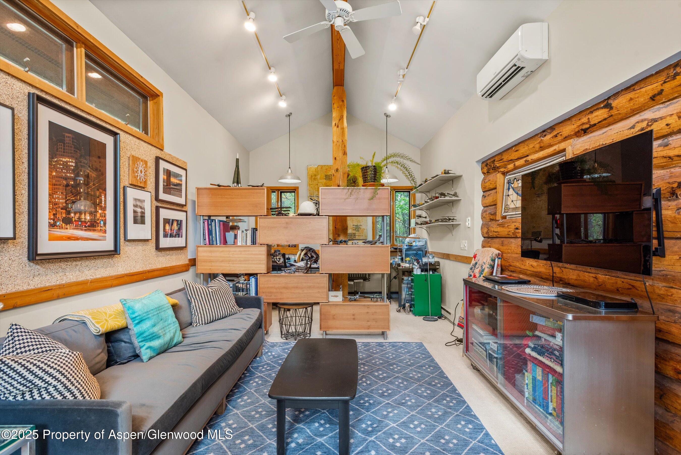 166 Ute Trail Carbondale CO 81623