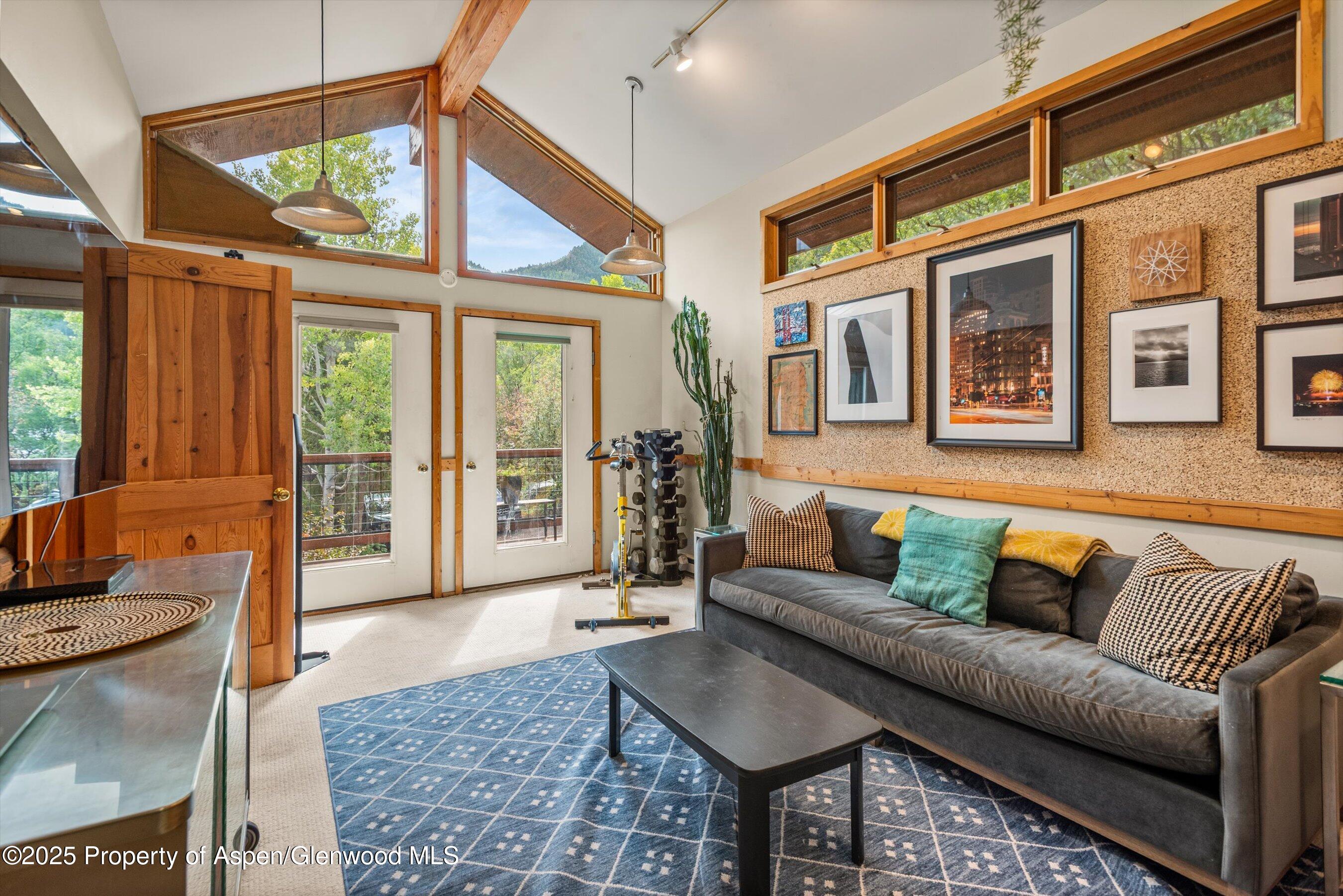 166 Ute Trail Carbondale CO 81623