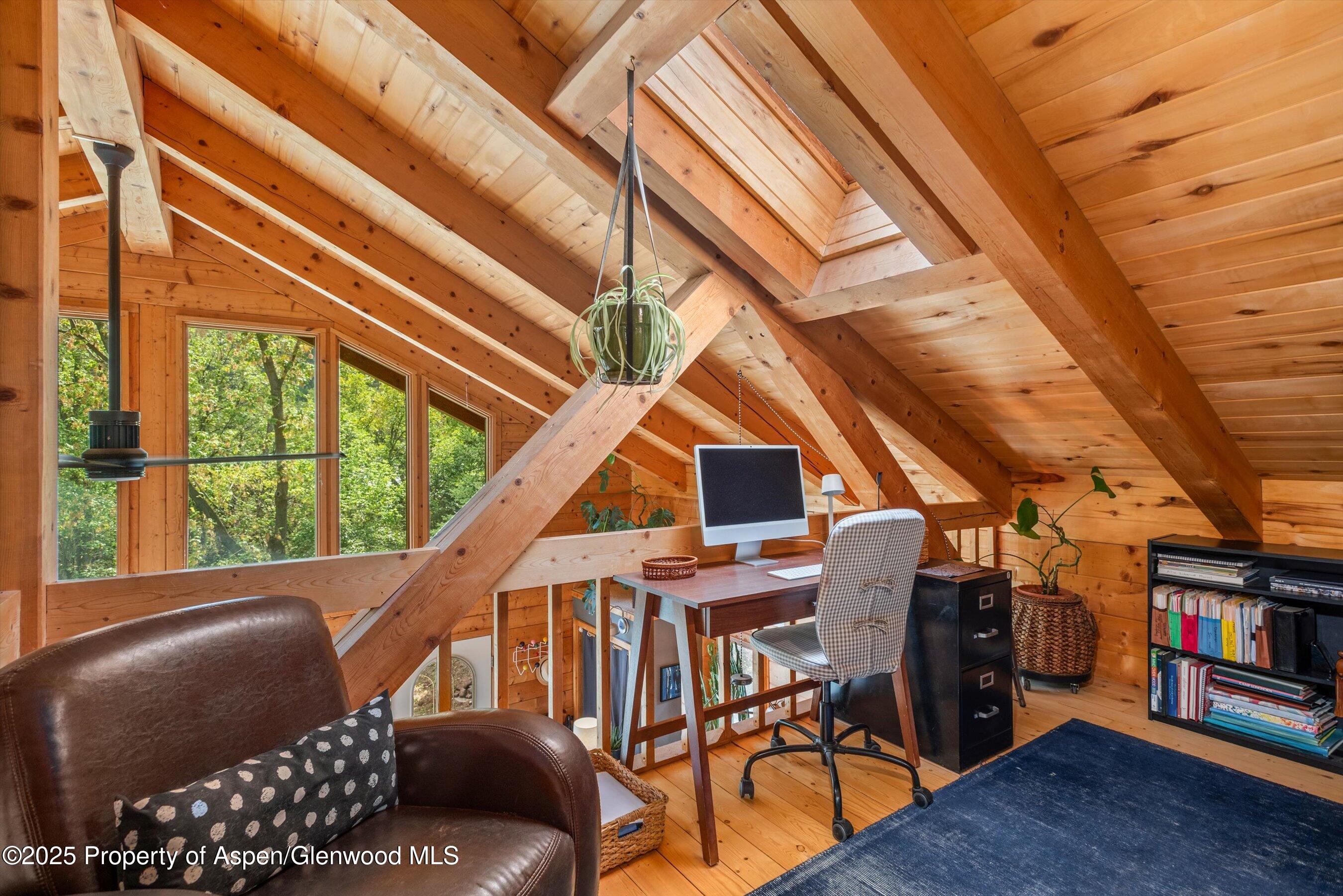 166 Ute Trail Carbondale CO 81623