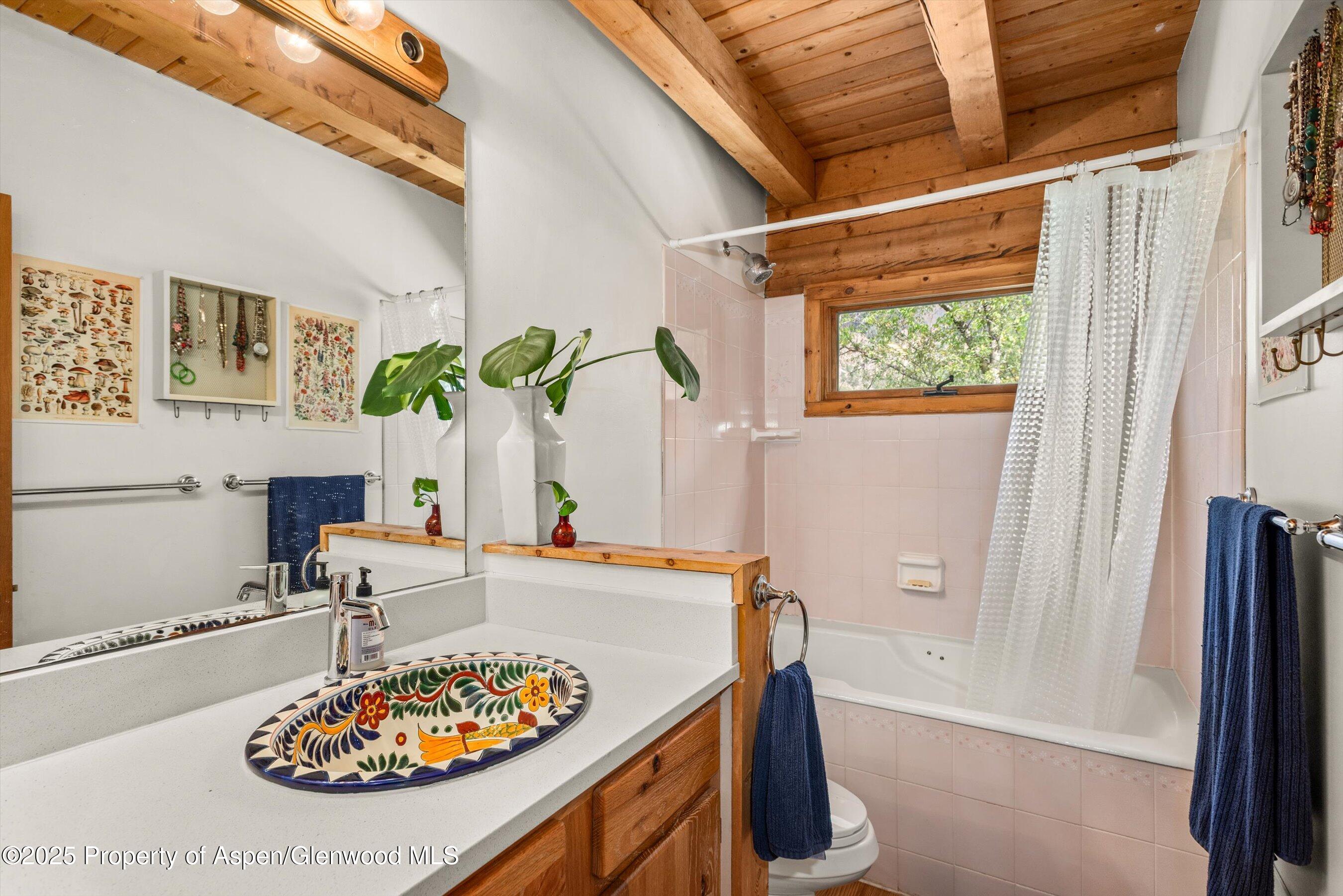 166 Ute Trail Carbondale CO 81623