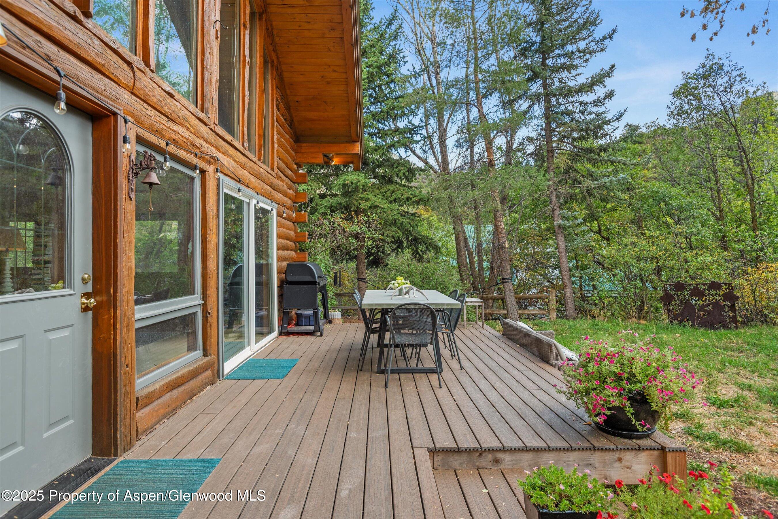 166 Ute Trail Carbondale CO 81623