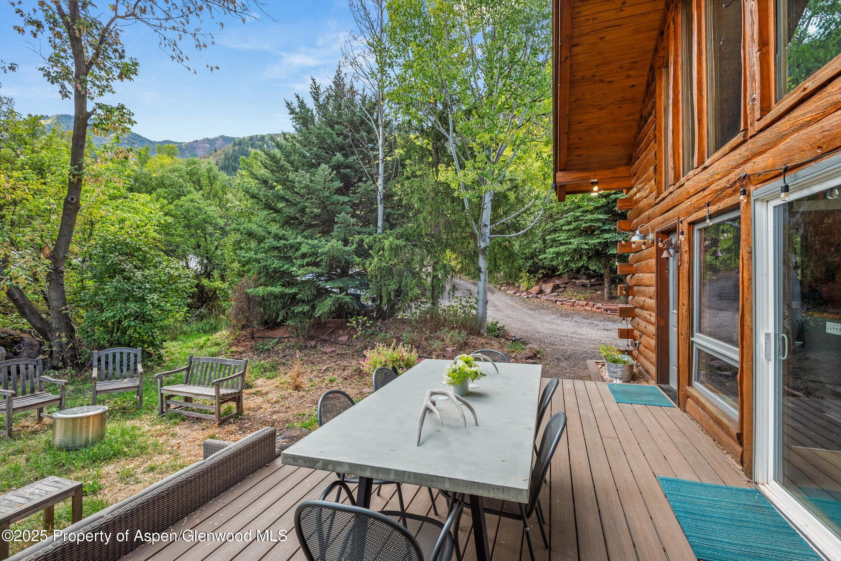 166 Ute Trail Carbondale CO 81623