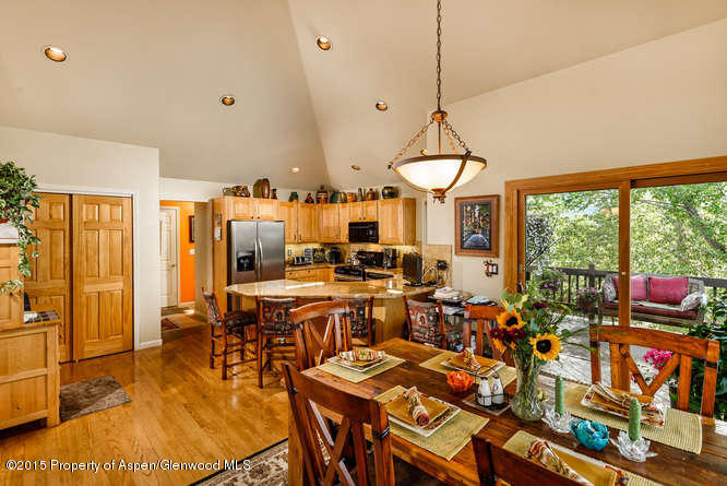 258 Caballo Street Carbondale CO 81623
