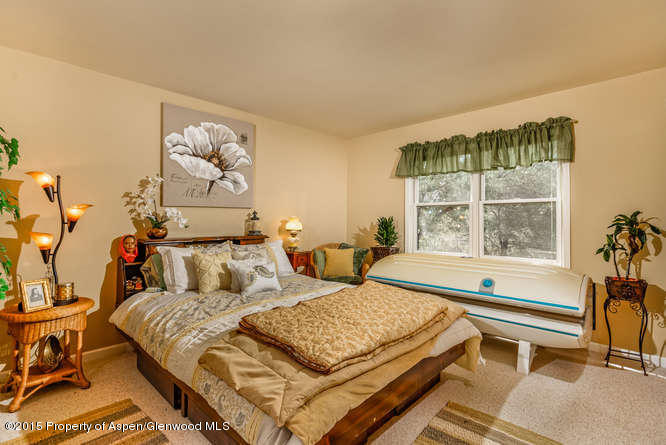 258 Caballo Street Carbondale CO 81623