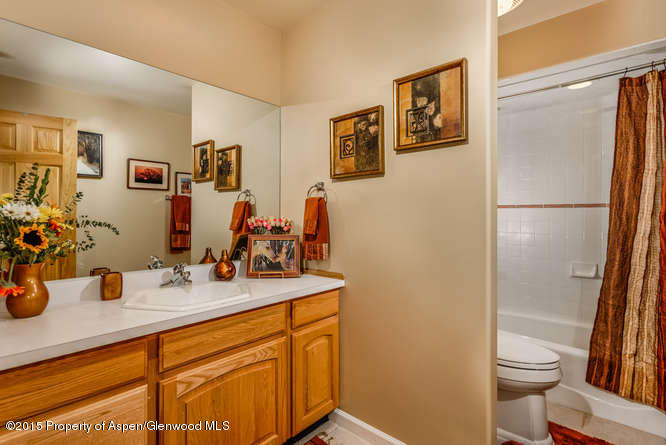 258 Caballo Street Carbondale CO 81623