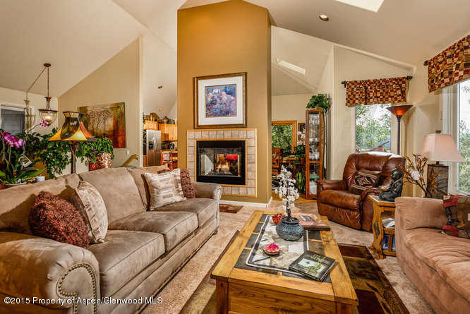 258 Caballo Street Carbondale CO 81623