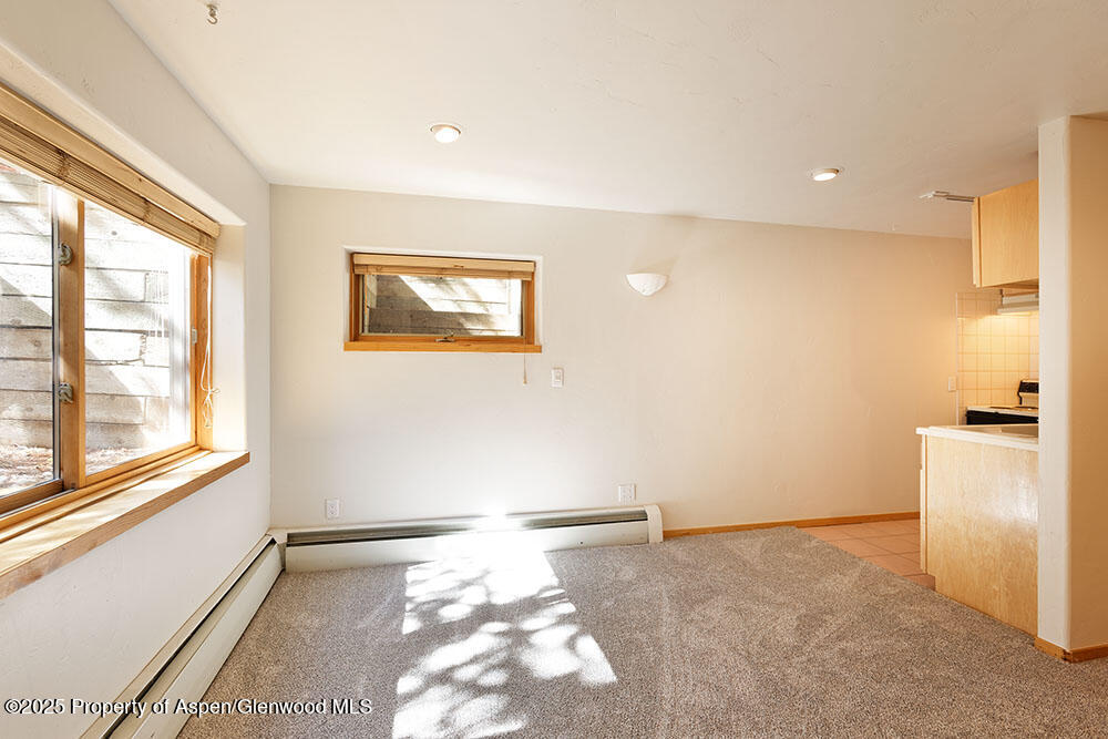 311 Midland Avenue Aspen CO 81611