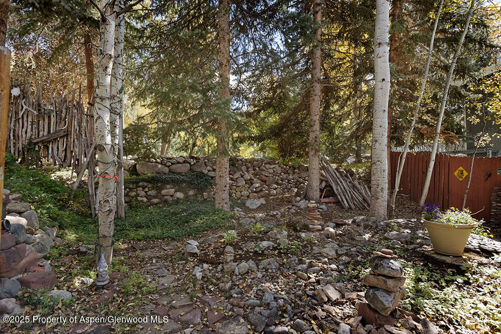 311 Midland Avenue Aspen CO 81611