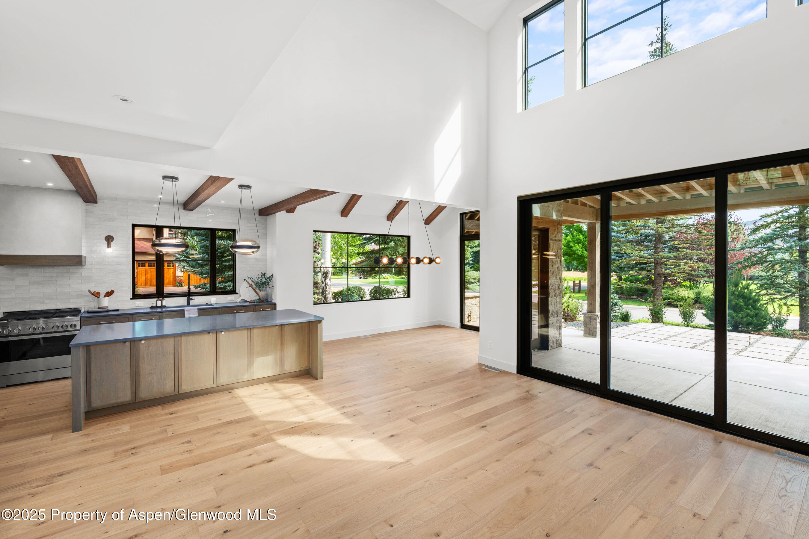 306 Golden Bear Drive Carbondale CO 81623