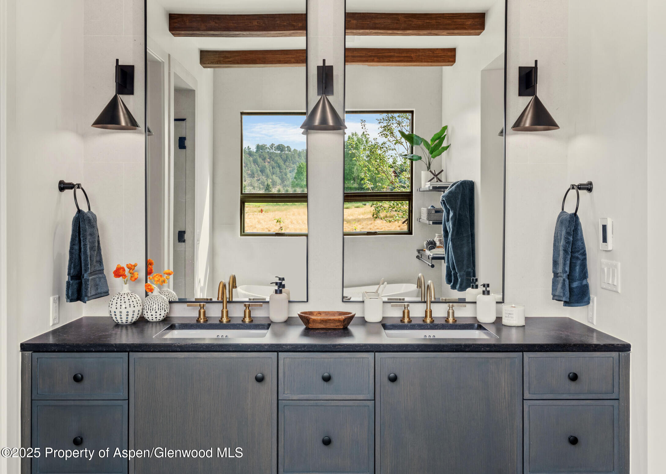 306 Golden Bear Drive Carbondale CO 81623