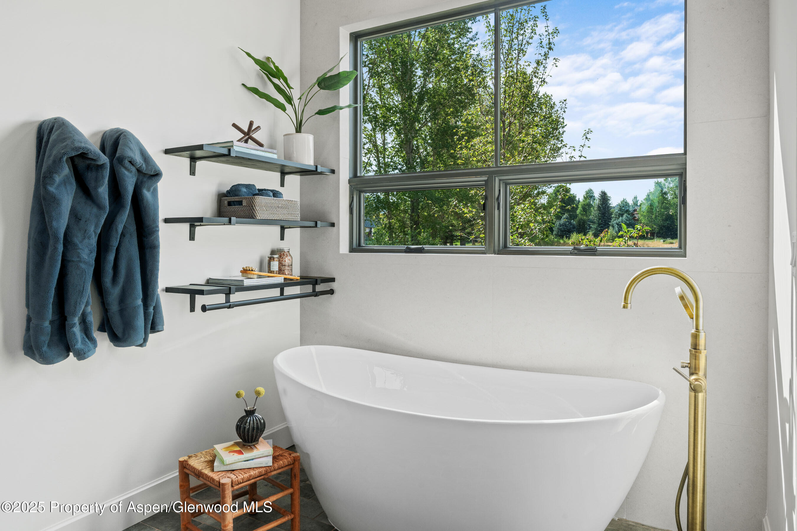 306 Golden Bear Drive Carbondale CO 81623