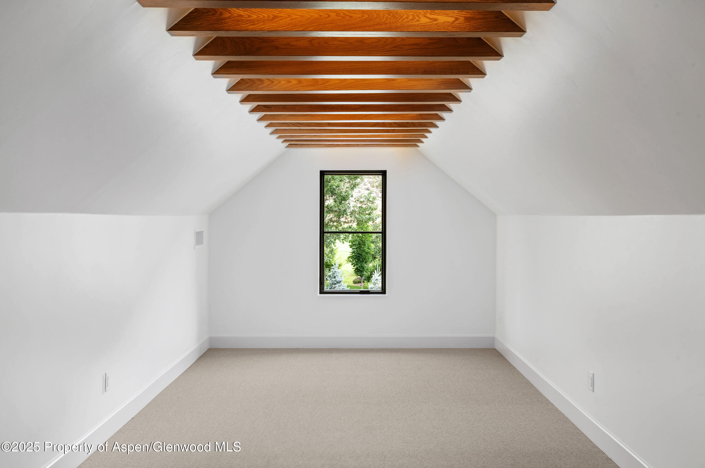 306 Golden Bear Drive Carbondale CO 81623