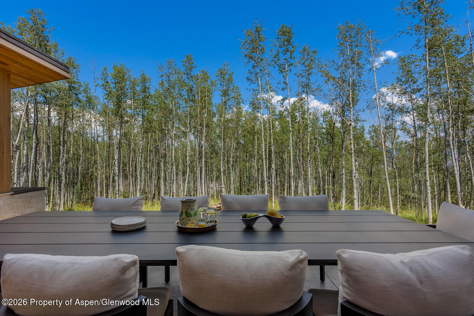 231 Maple Ridge Lane Snowmass Village CO 81615
