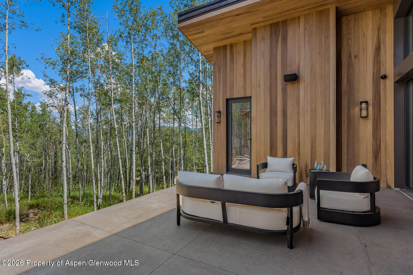231 Maple Ridge Lane Snowmass Village CO 81615