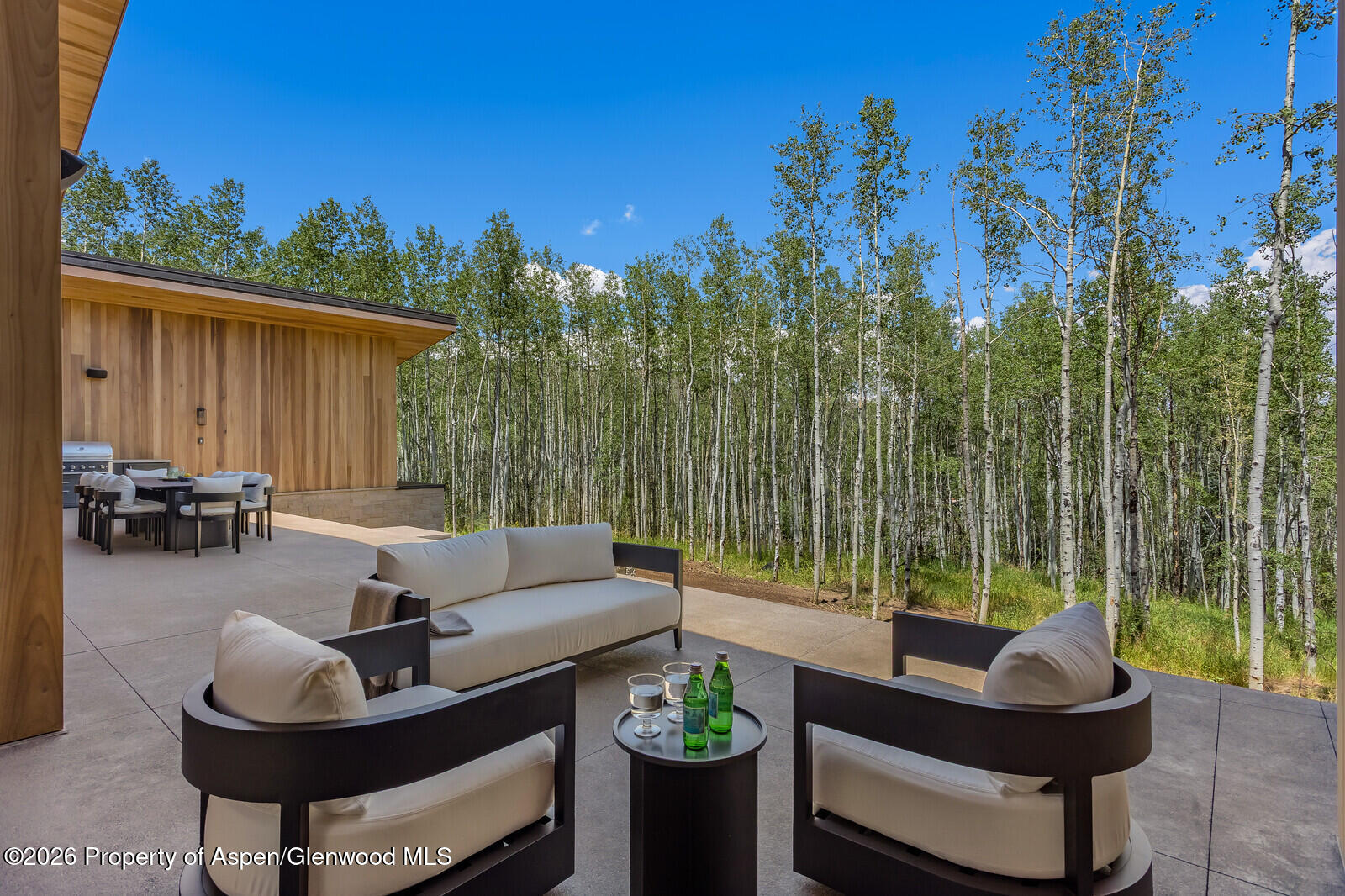 231 Maple Ridge Lane Snowmass Village CO 81615