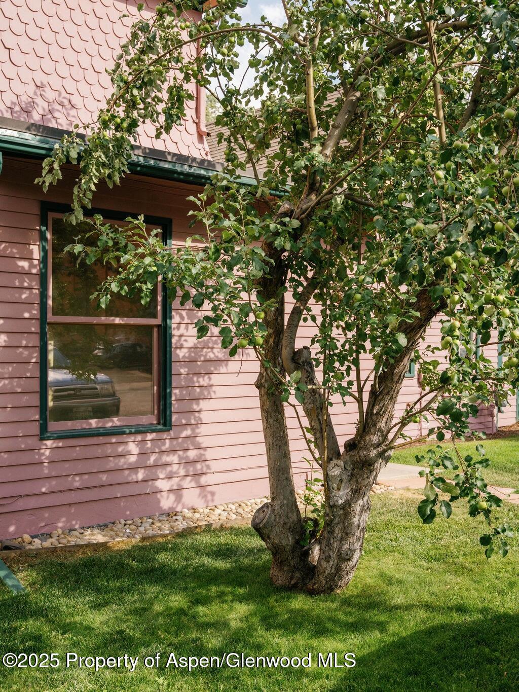 333 W Main Street Aspen CO 81611