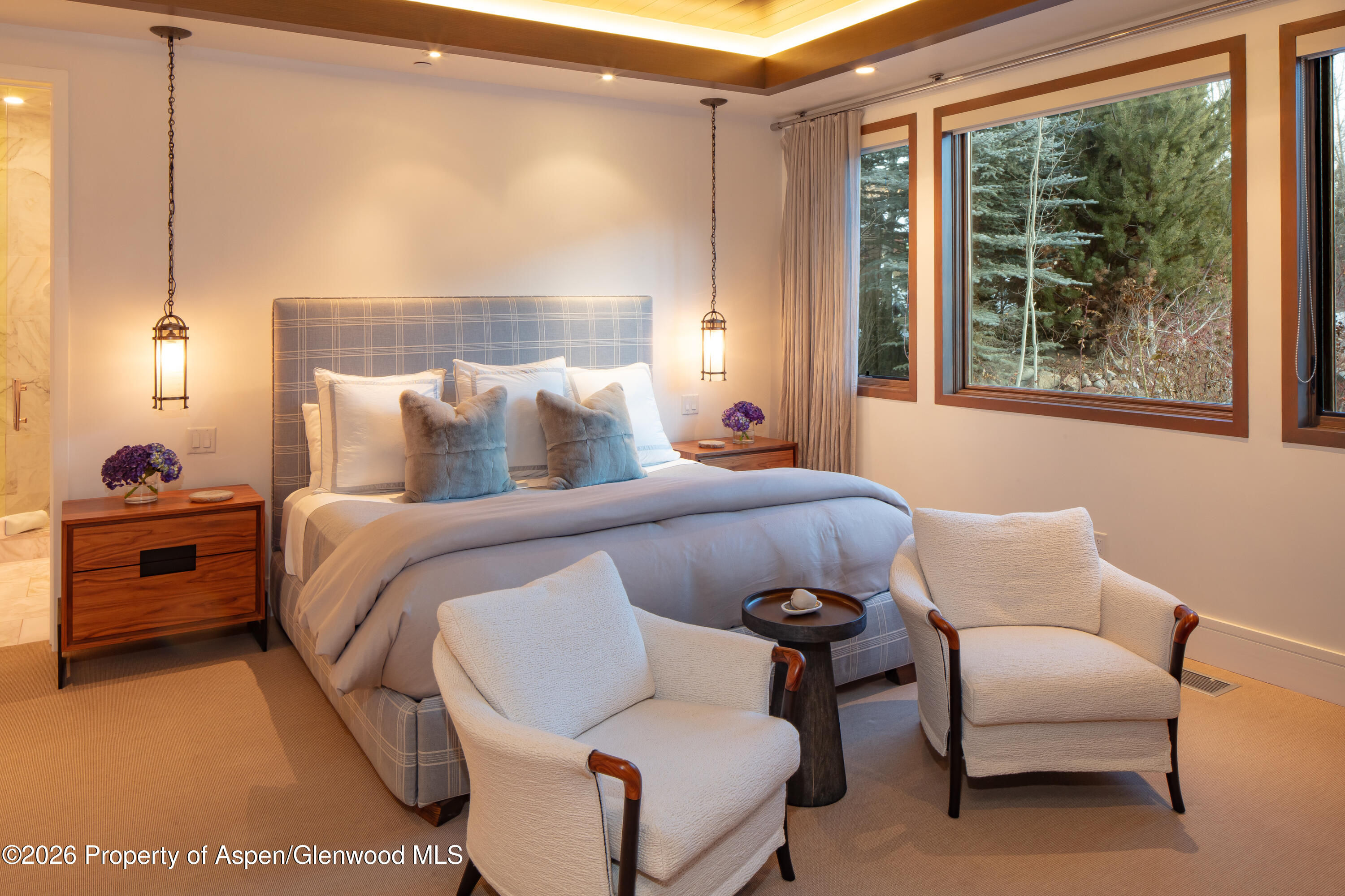 523 Walnut Street Aspen CO 81611