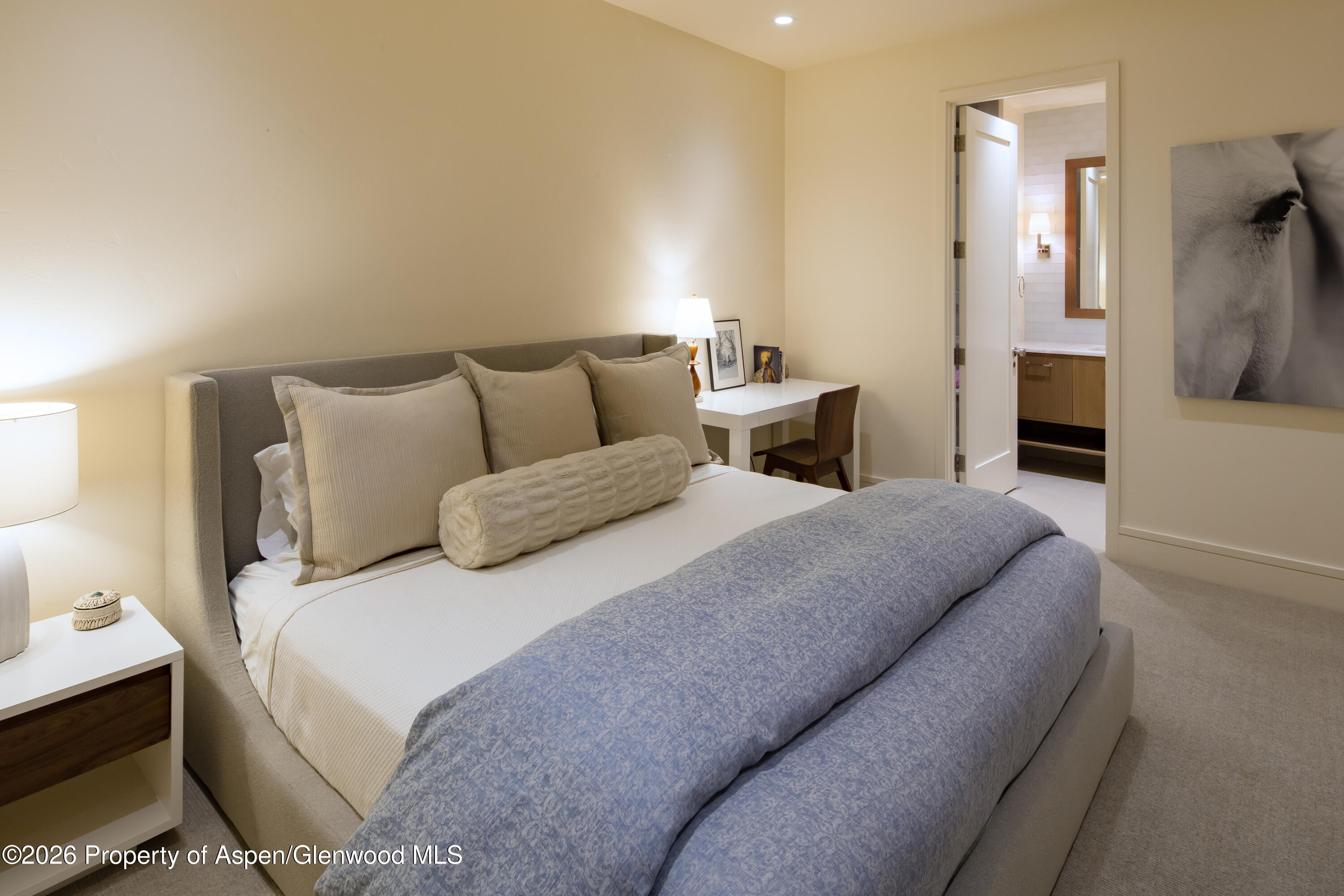 523 Walnut Street Aspen CO 81611