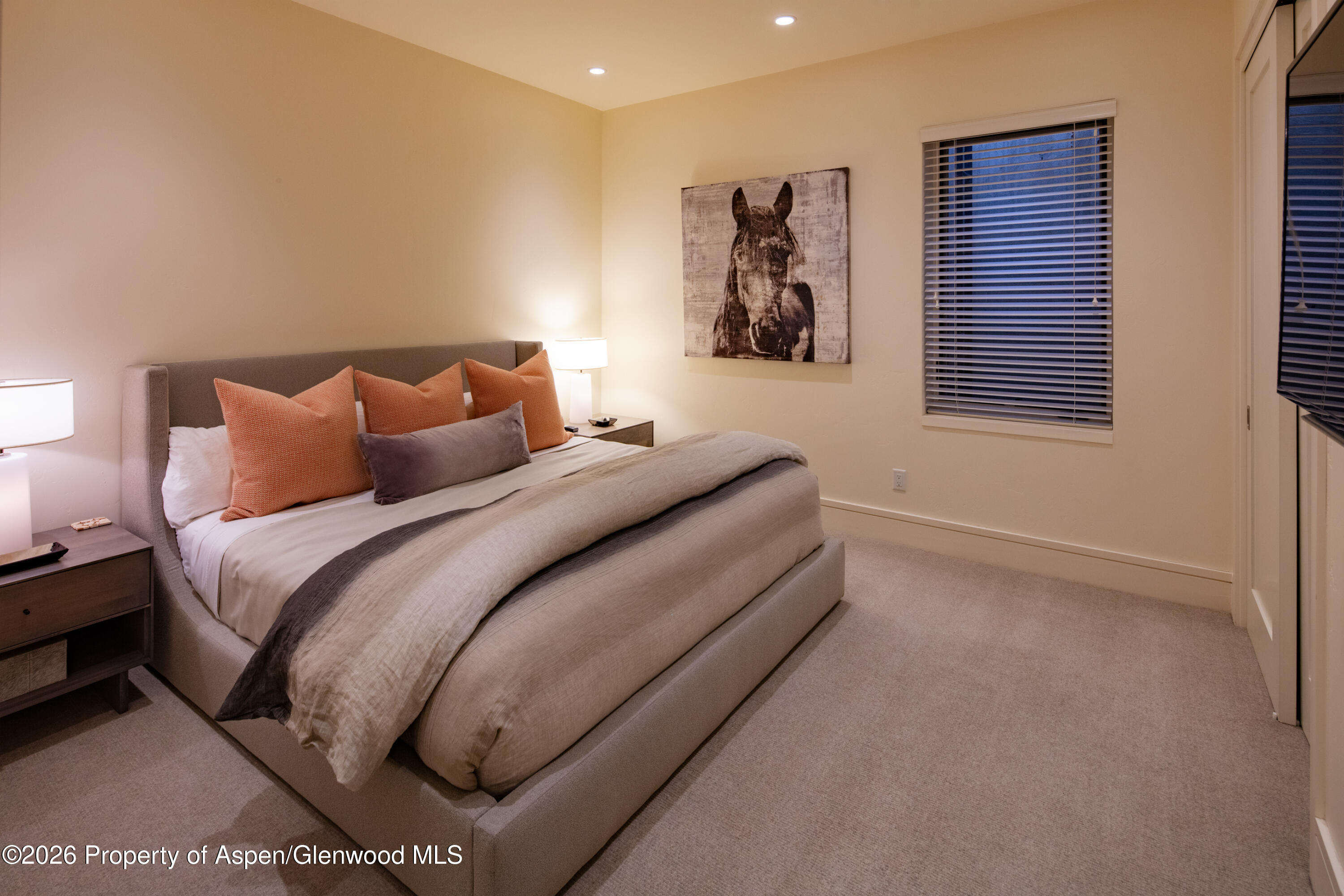 523 Walnut Street Aspen CO 81611