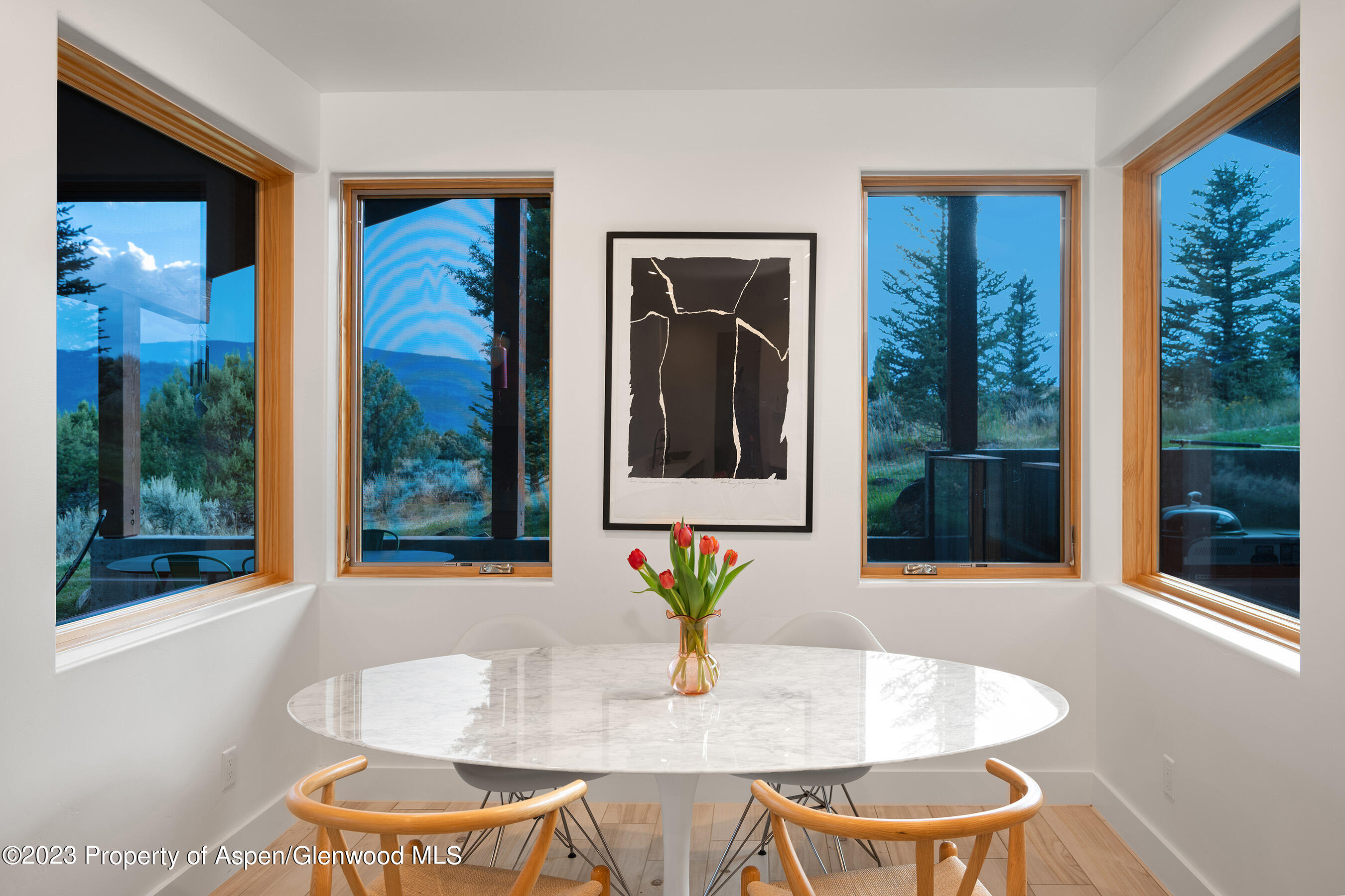296 Gossamer Drive Glenwood Springs CO 81601