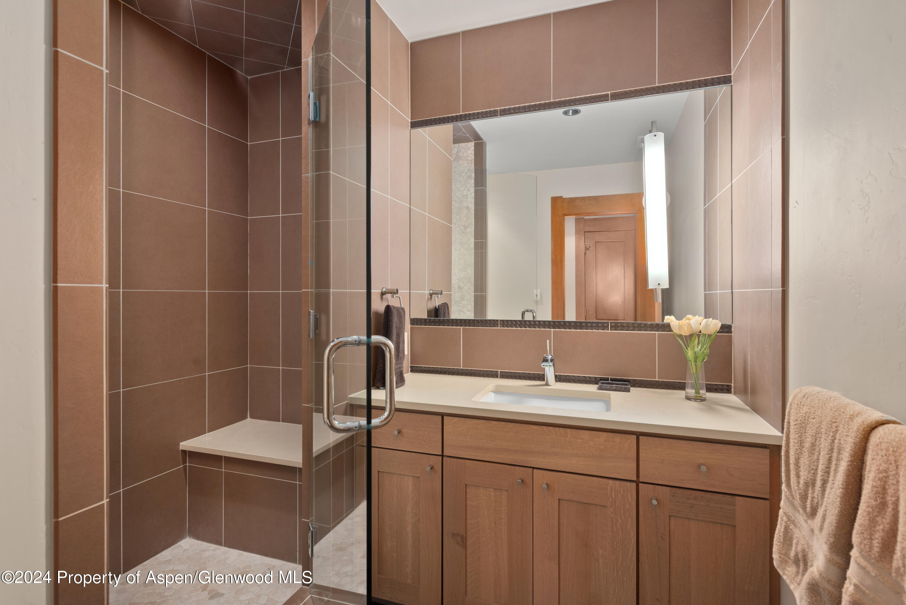 137 Stonefly Drive Carbondale CO 81623