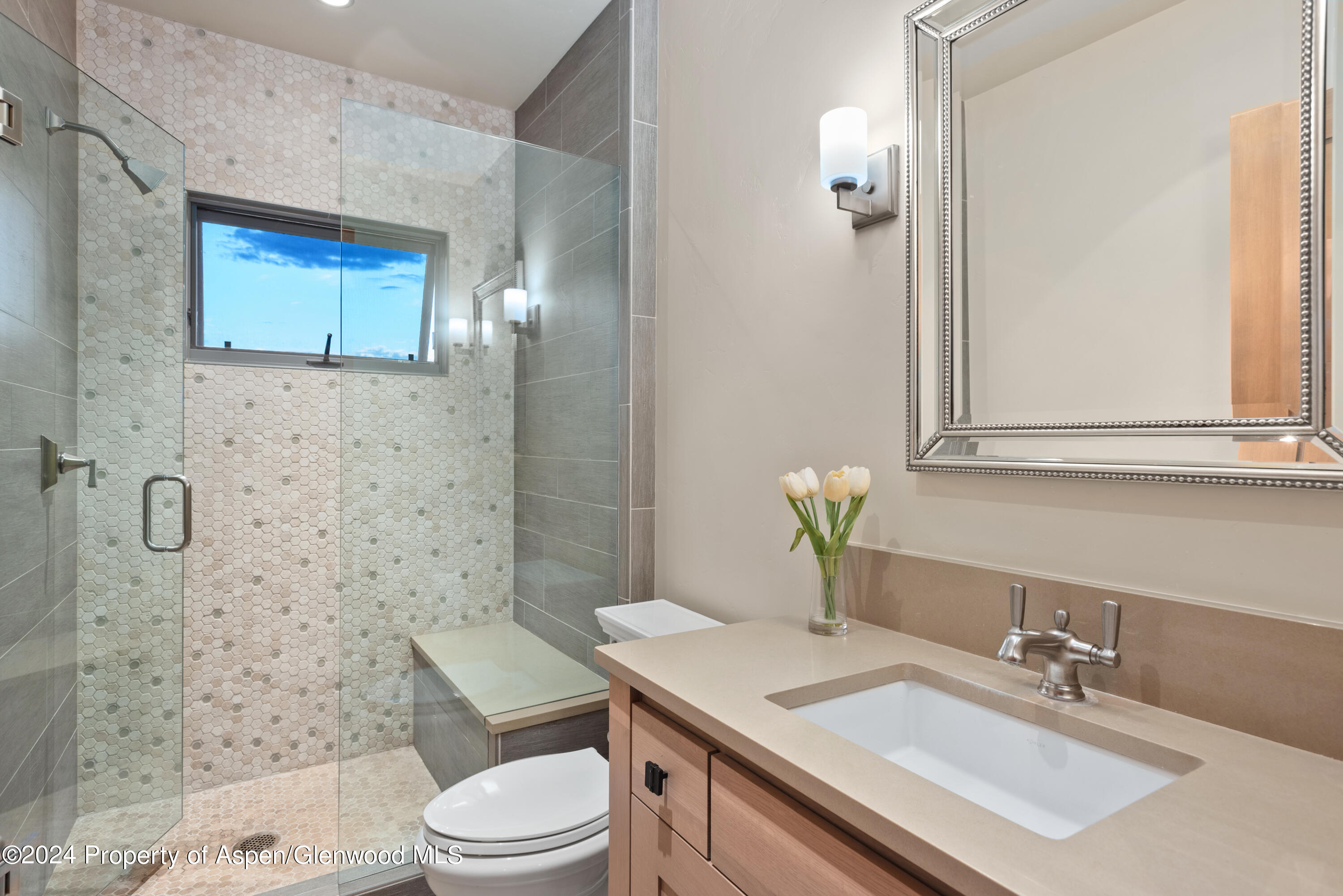 137 Stonefly Drive Carbondale CO 81623