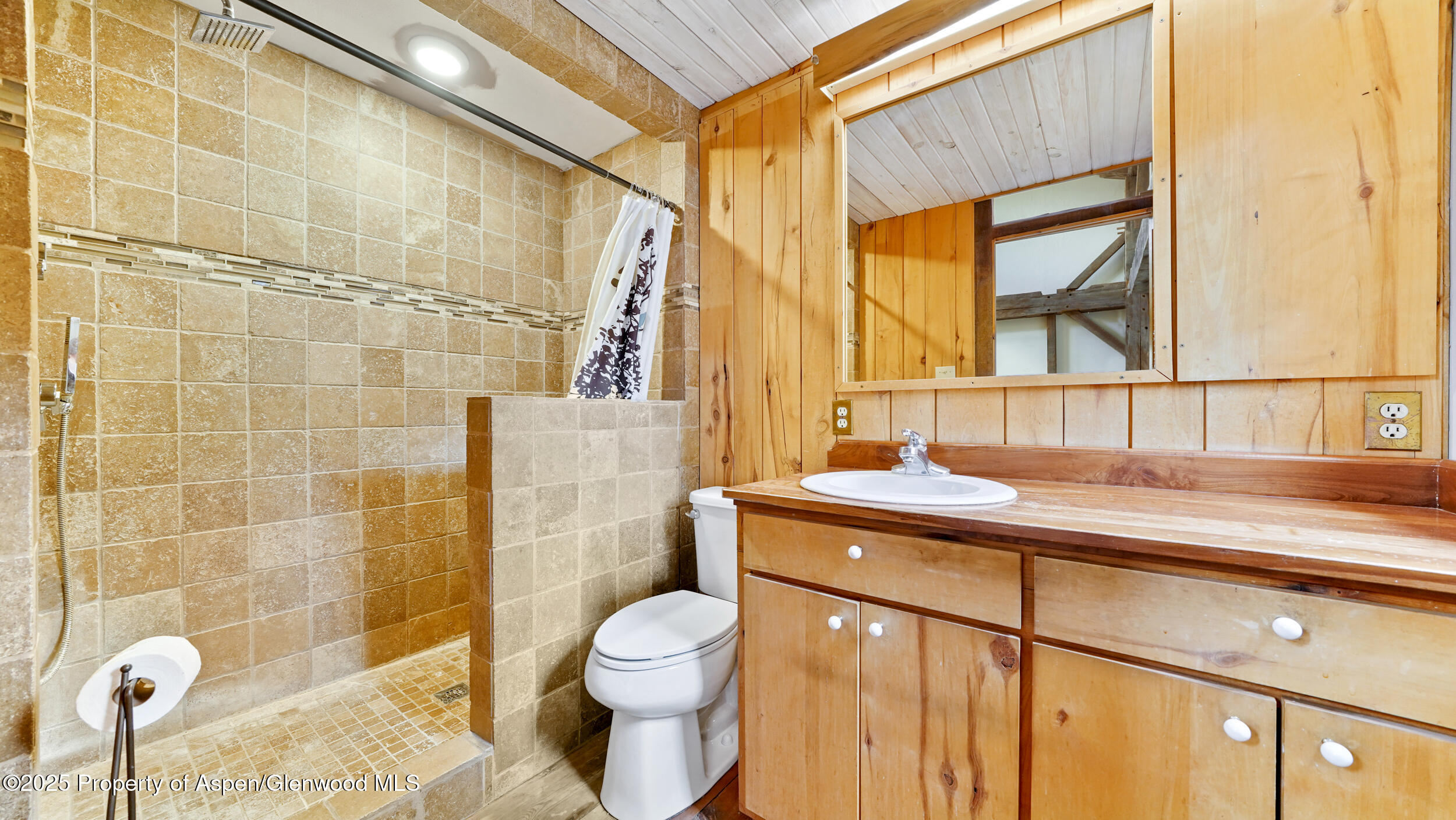 1315 Ruedi Creek Road Basalt CO 81621