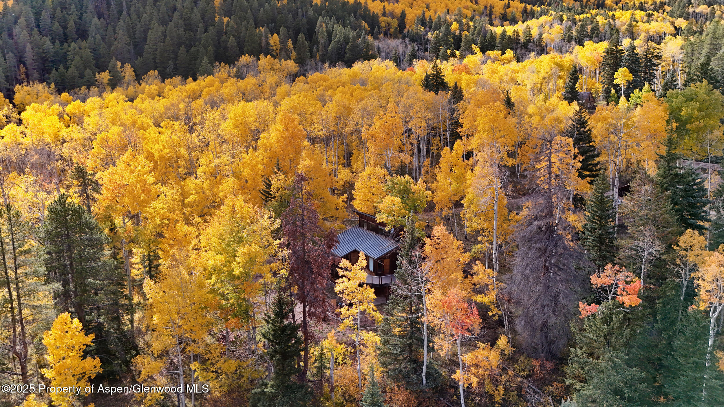 1315 Ruedi Creek Road Basalt CO 81621