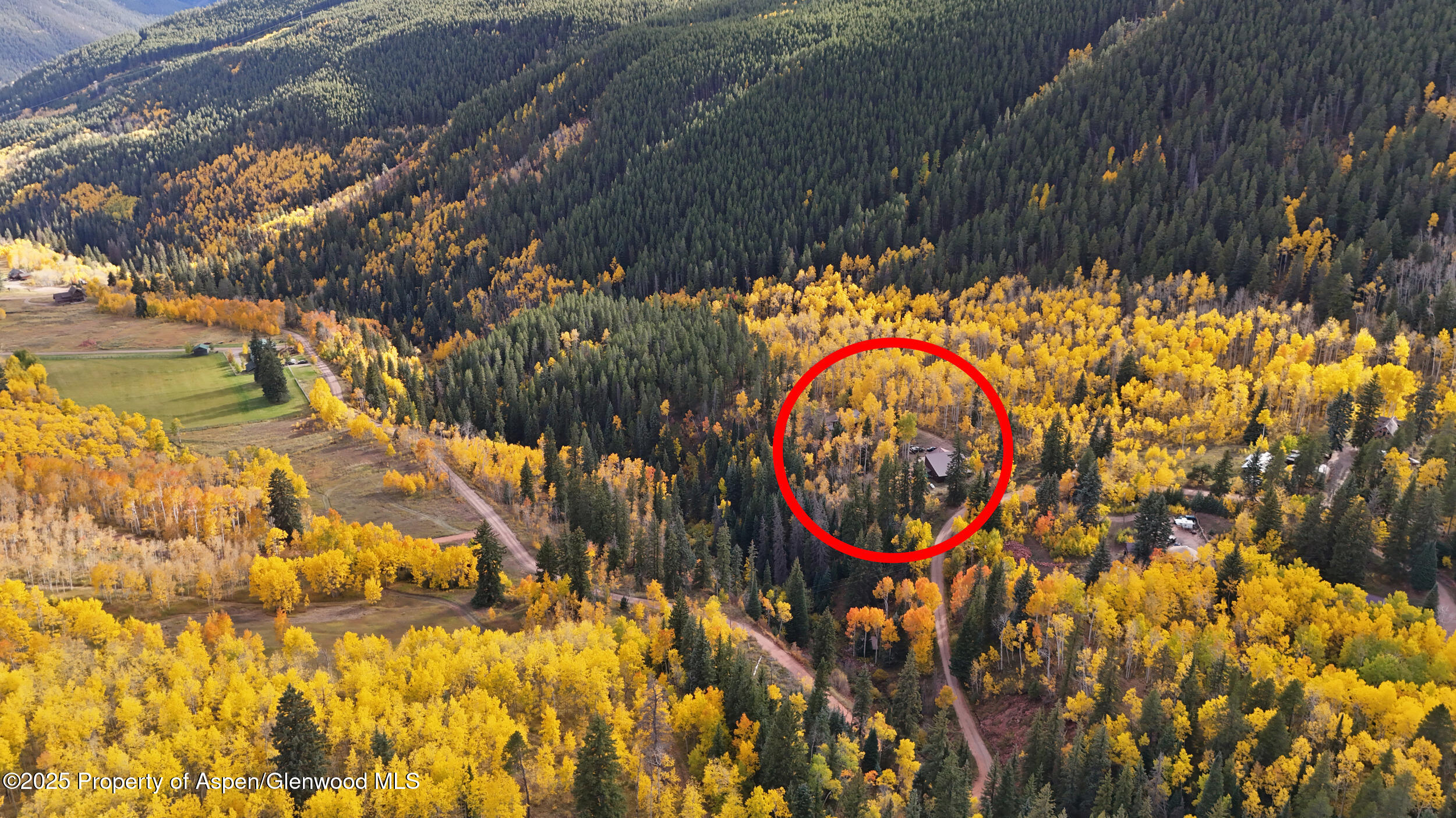 1315 Ruedi Creek Road Basalt CO 81621