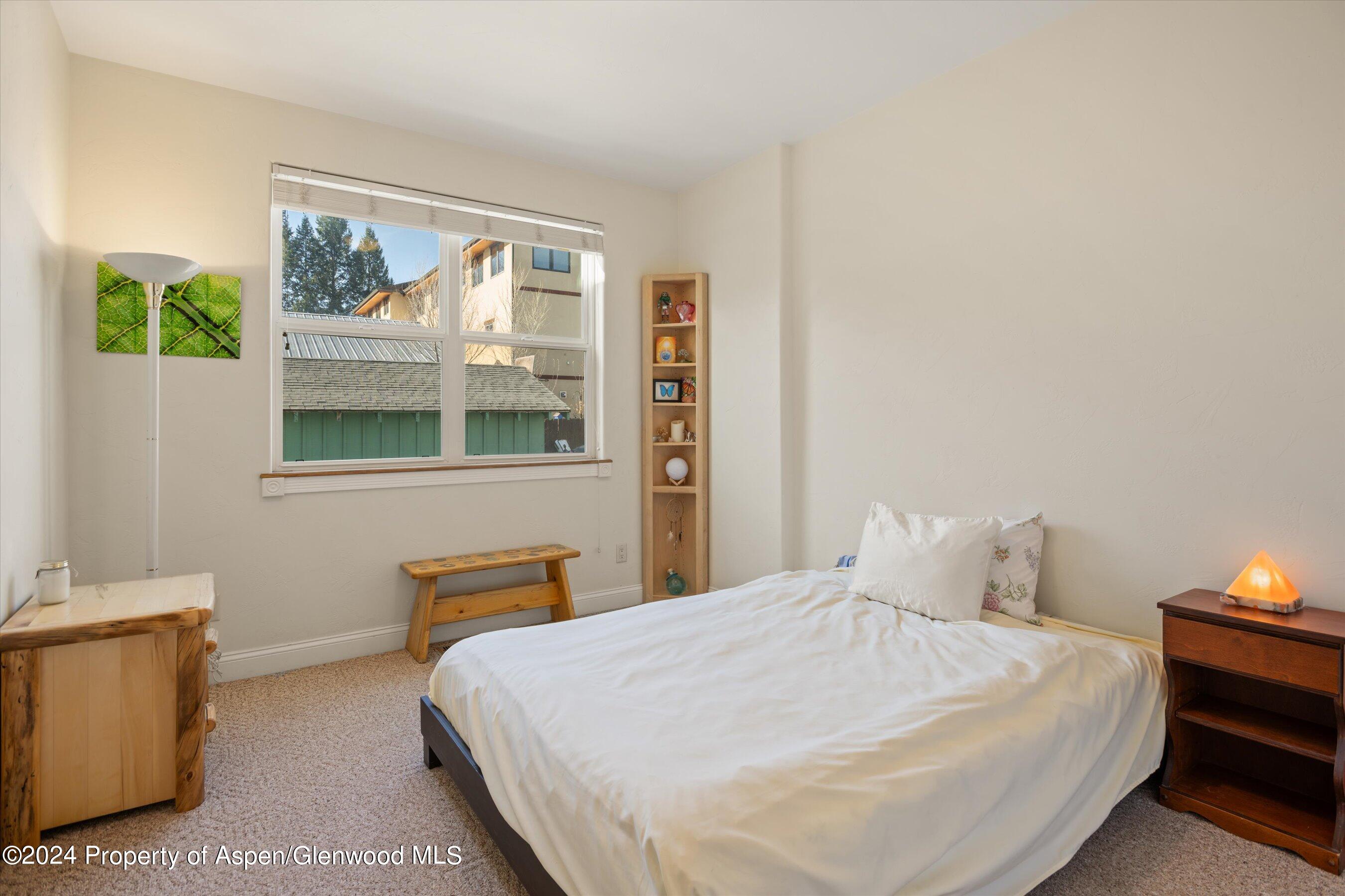 786 Colorado Avenue Carbondale CO 81623