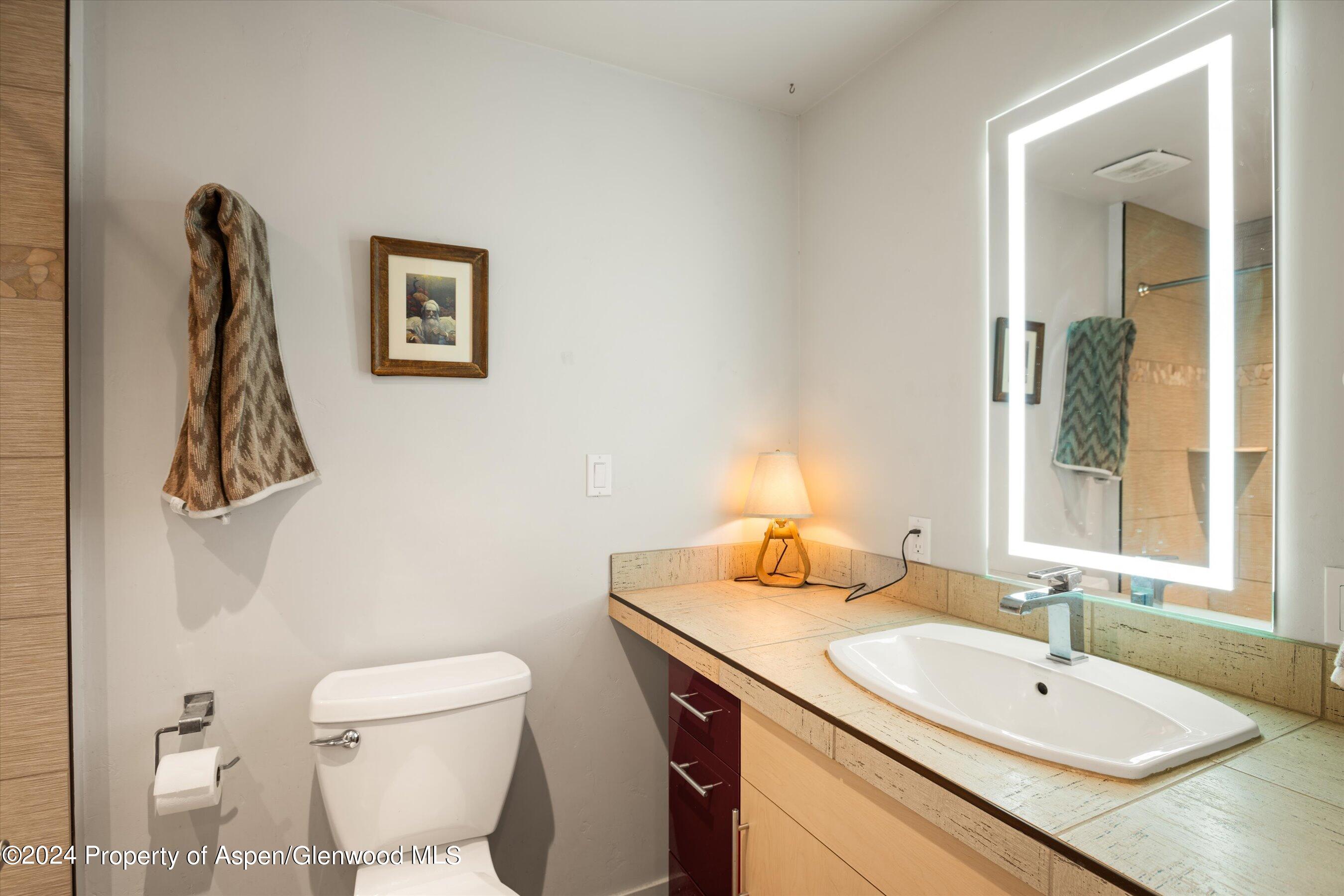 786 Colorado Avenue Carbondale CO 81623