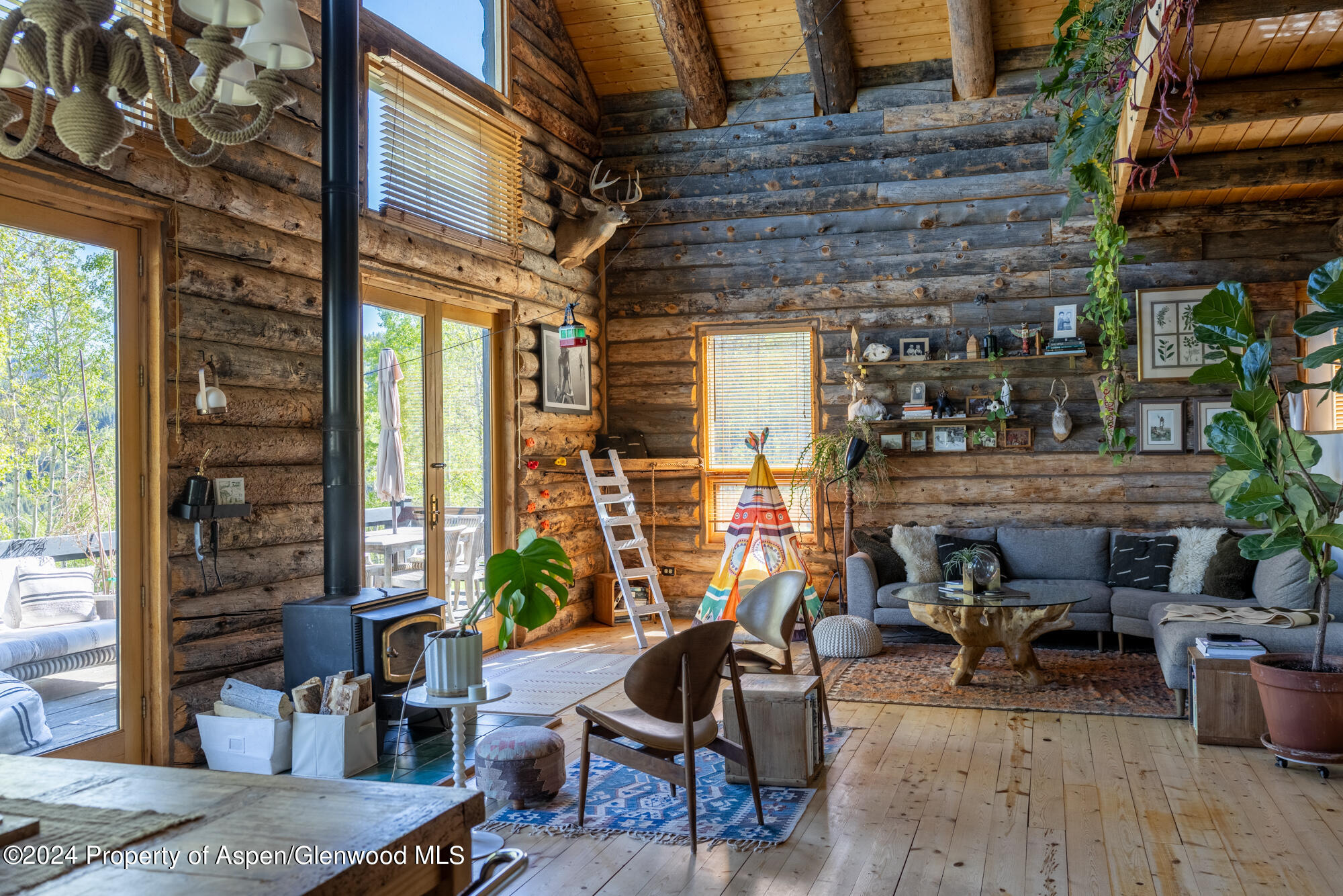 390 Hawk Lane Basalt CO 81621