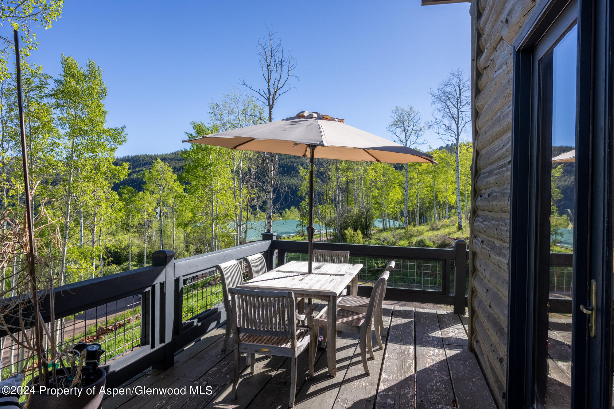 390 Hawk Lane Basalt CO 81621