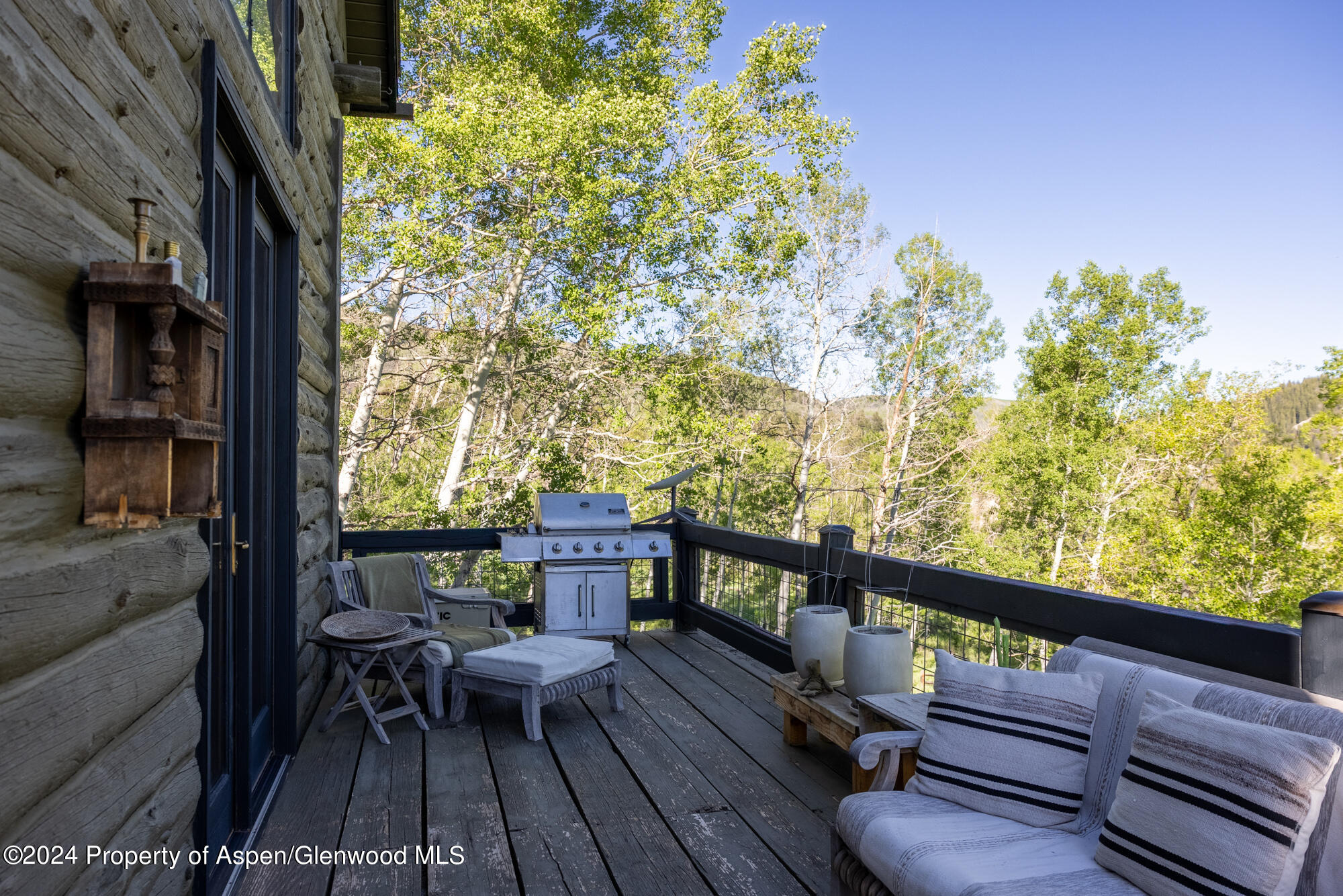 390 Hawk Lane Basalt CO 81621