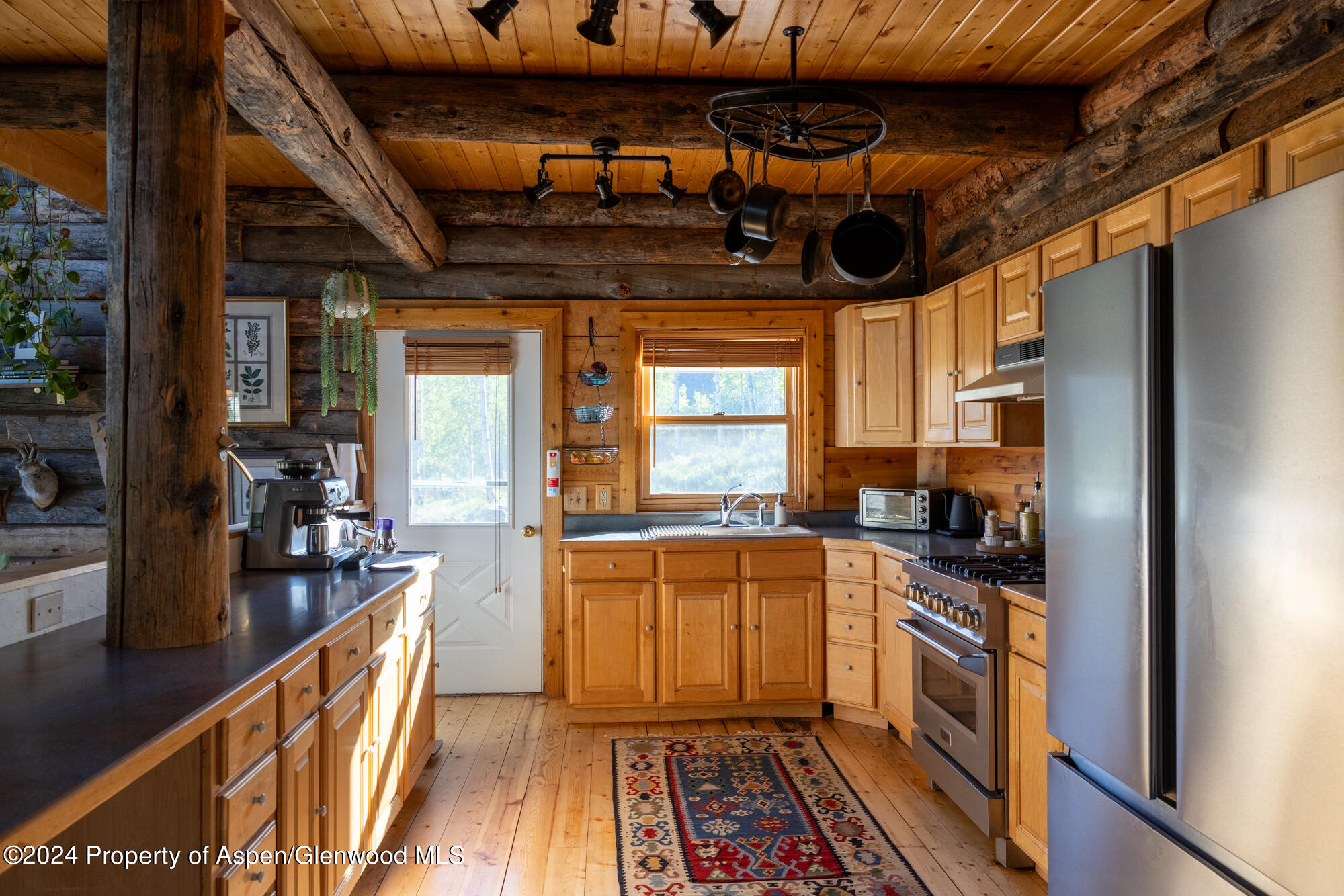 390 Hawk Lane Basalt CO 81621