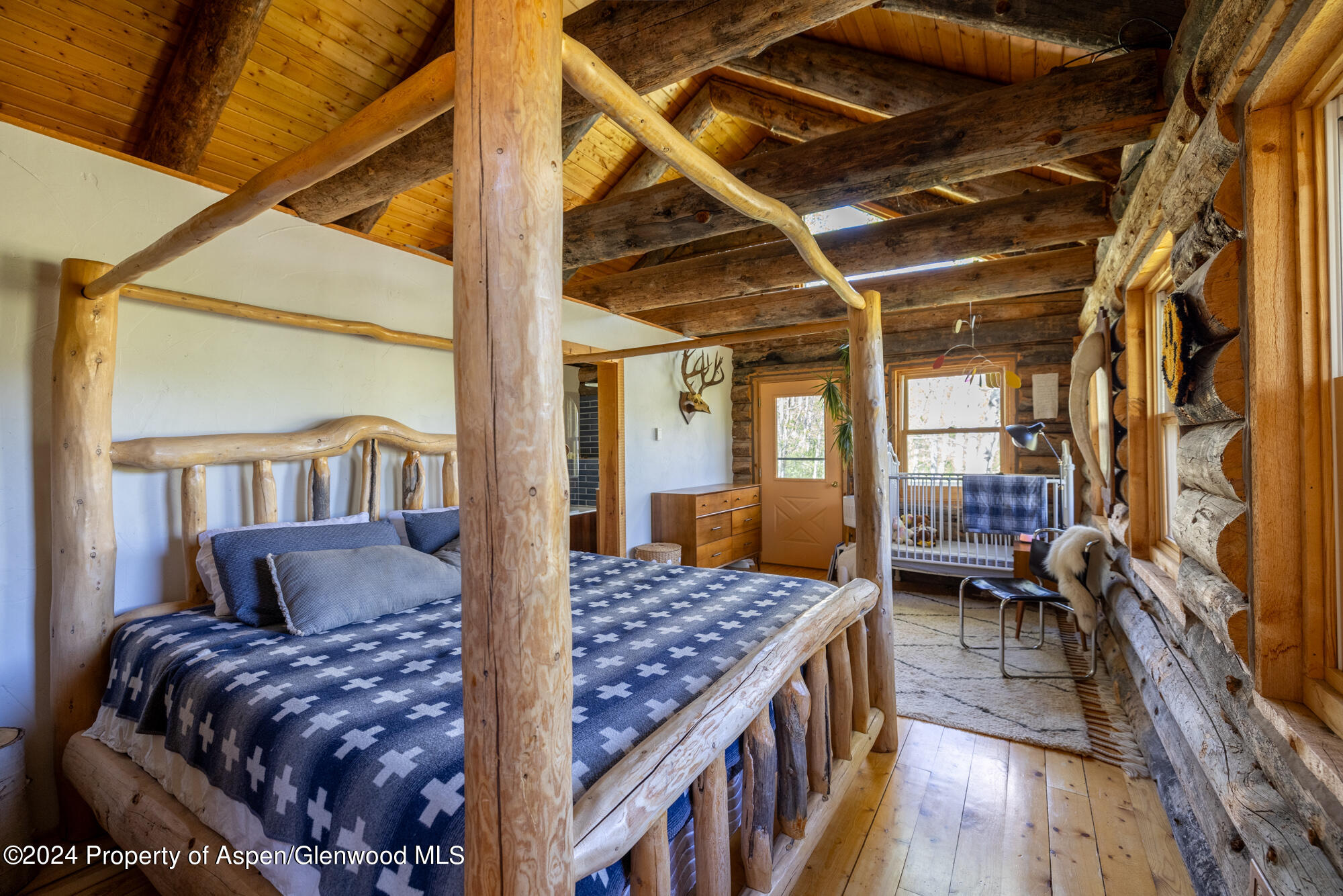 390 Hawk Lane Basalt CO 81621
