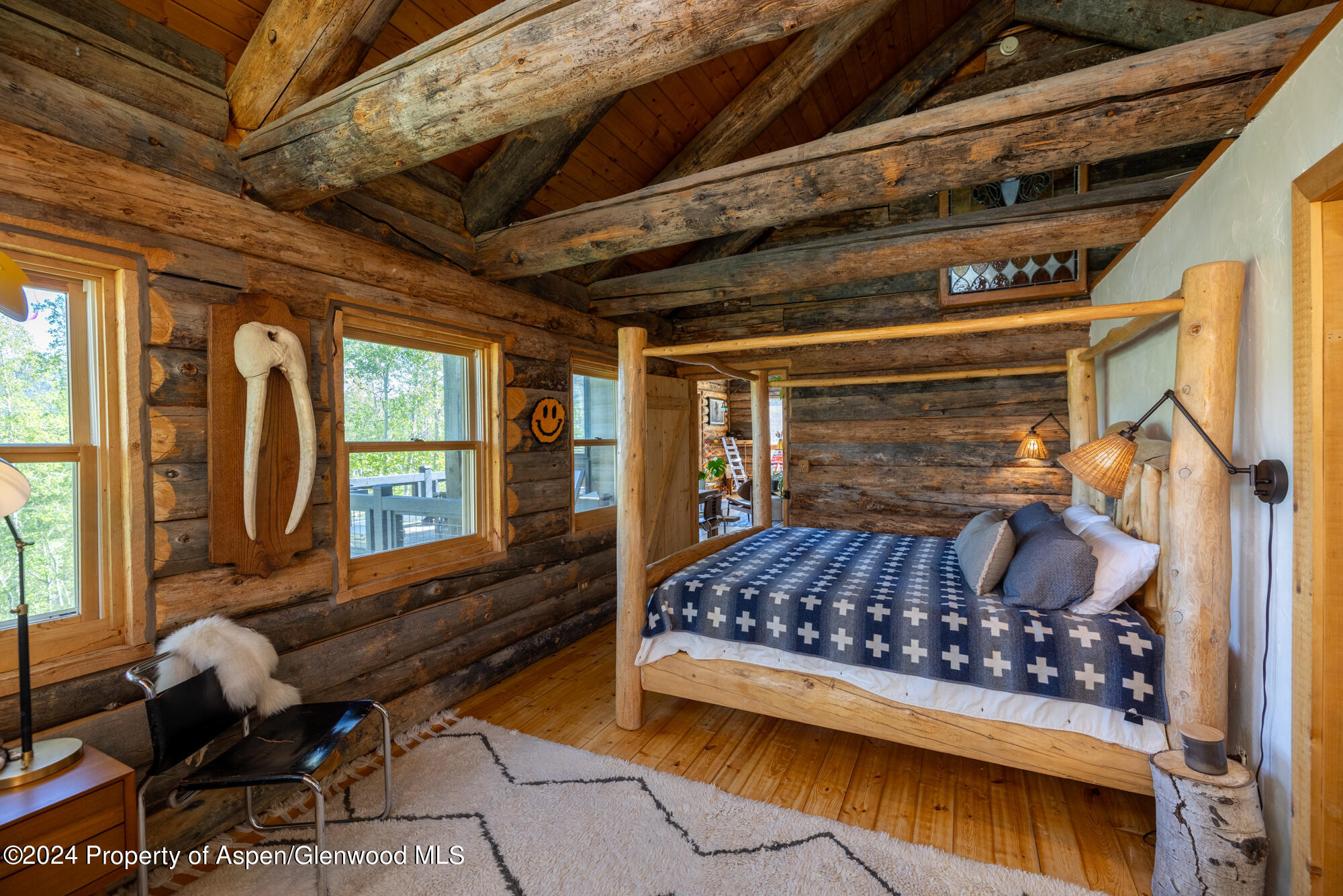 390 Hawk Lane Basalt CO 81621