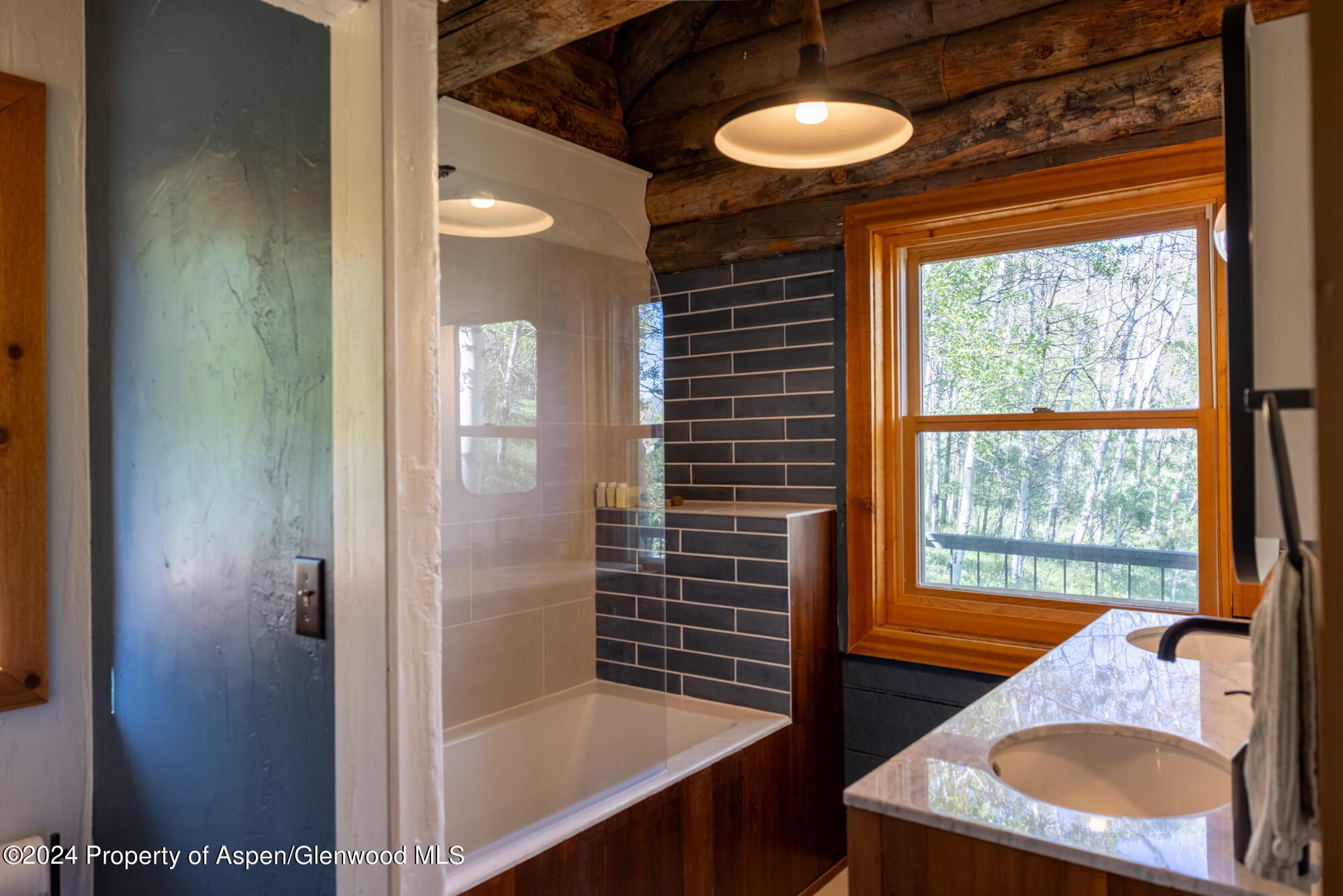 390 Hawk Lane Basalt CO 81621