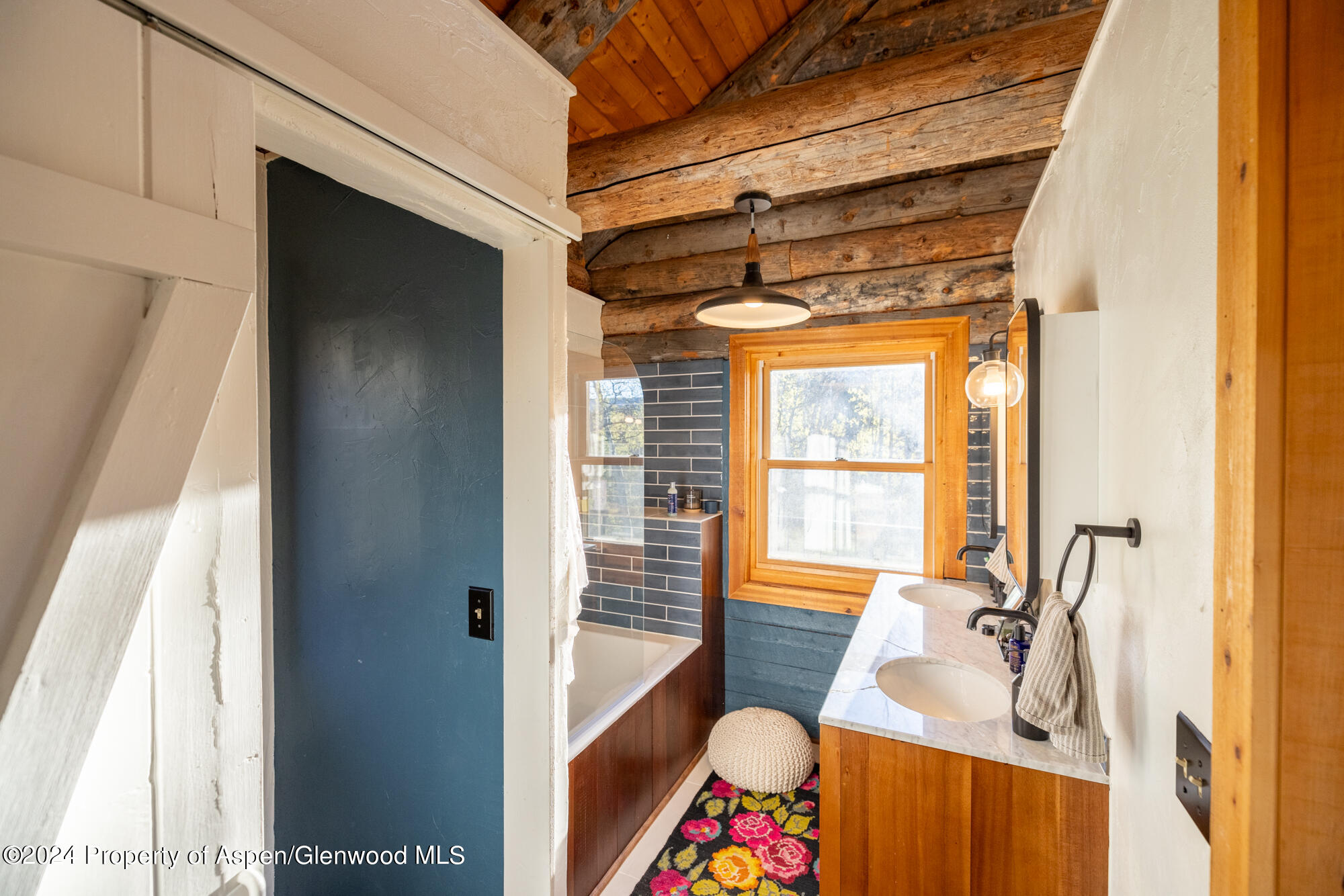 390 Hawk Lane Basalt CO 81621