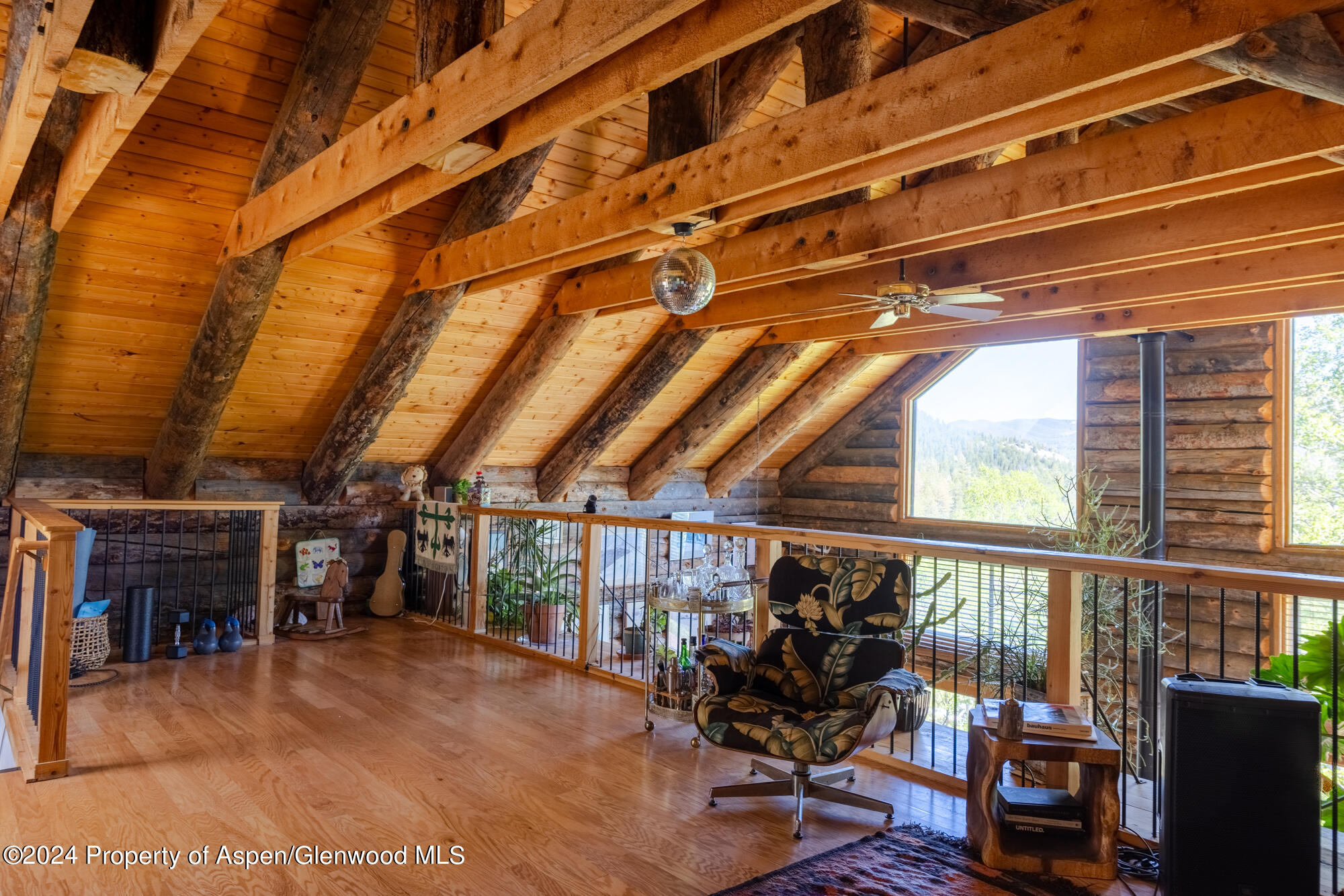 390 Hawk Lane Basalt CO 81621