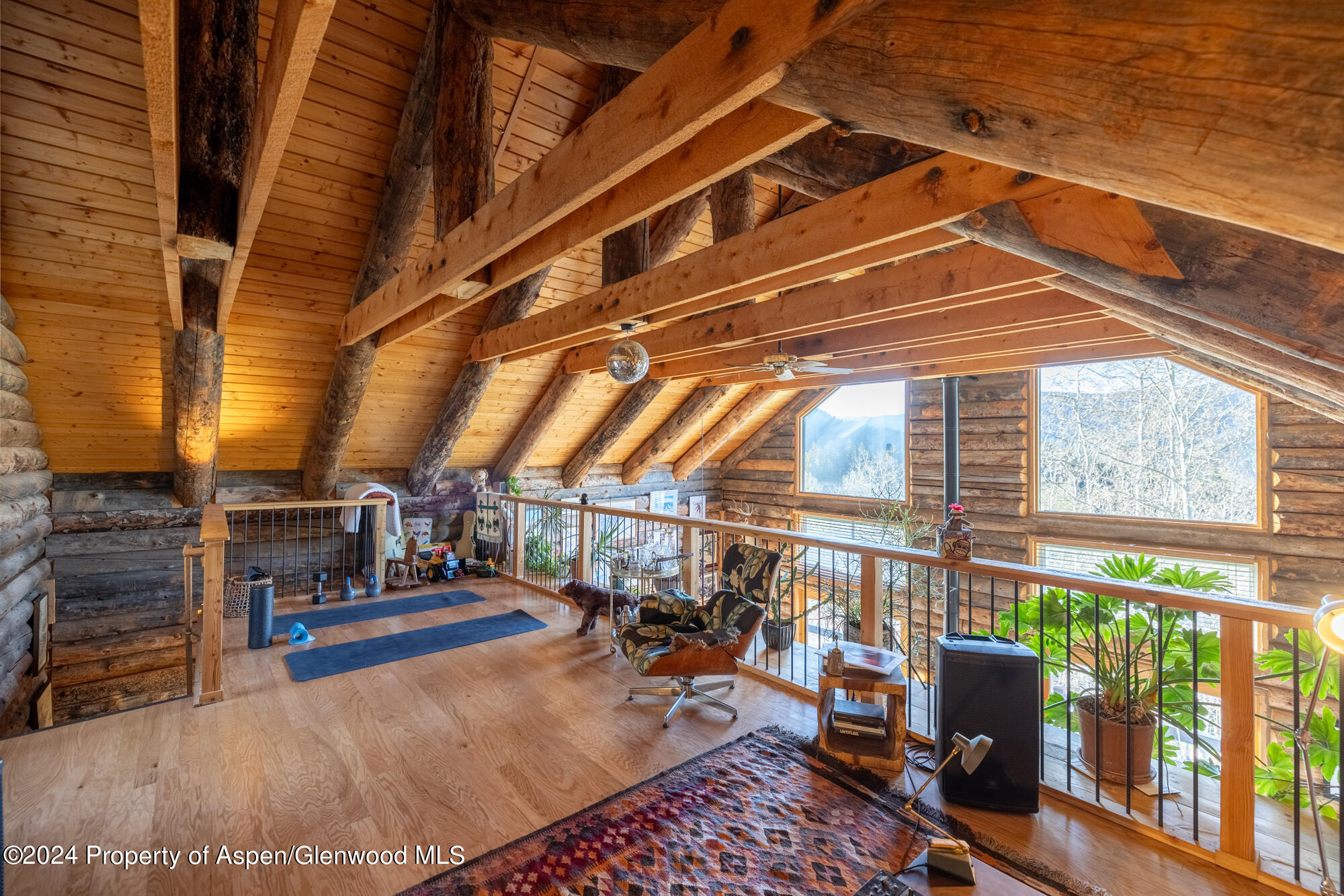 390 Hawk Lane Basalt CO 81621