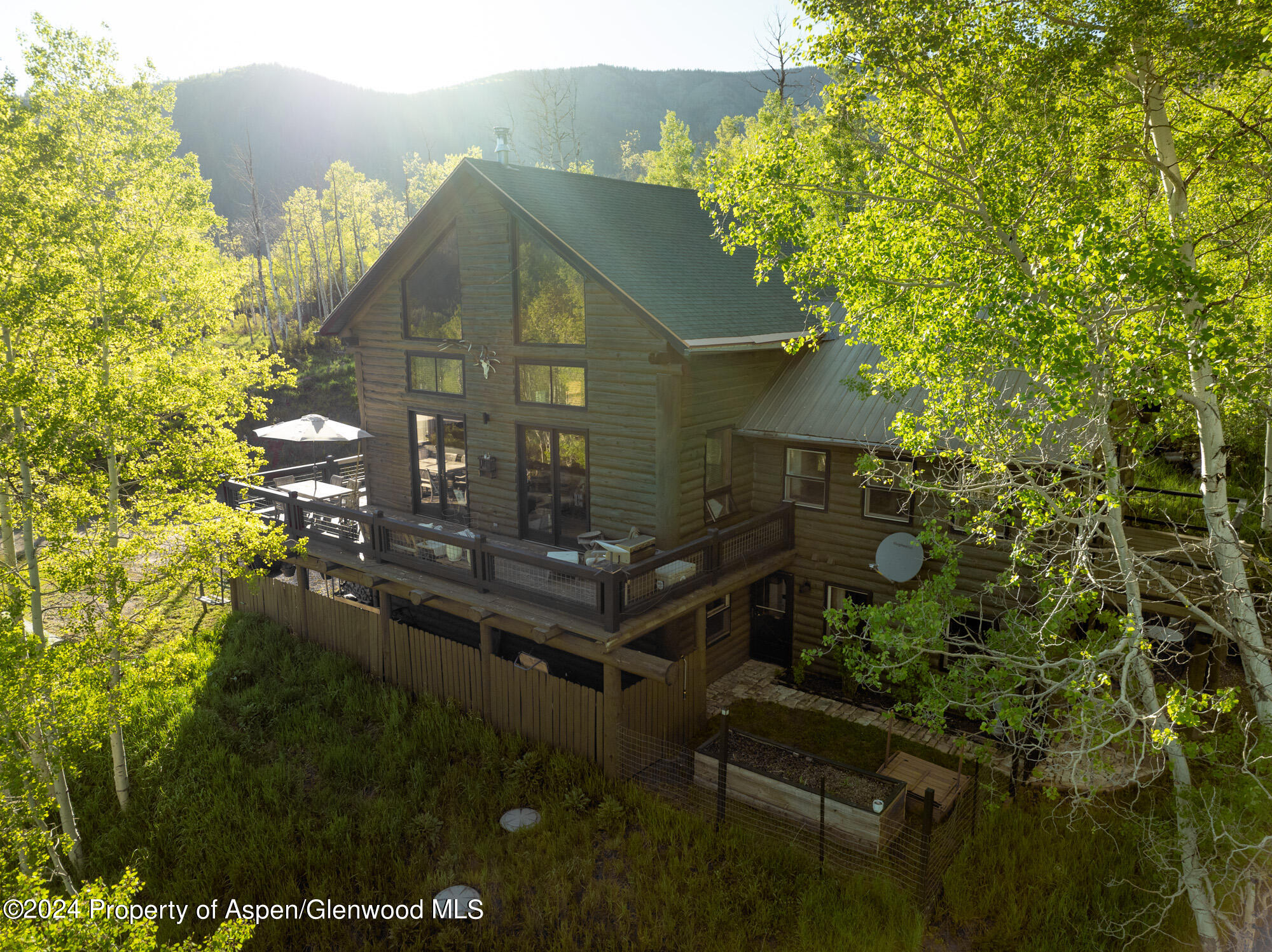 390 Hawk Lane Basalt CO 81621