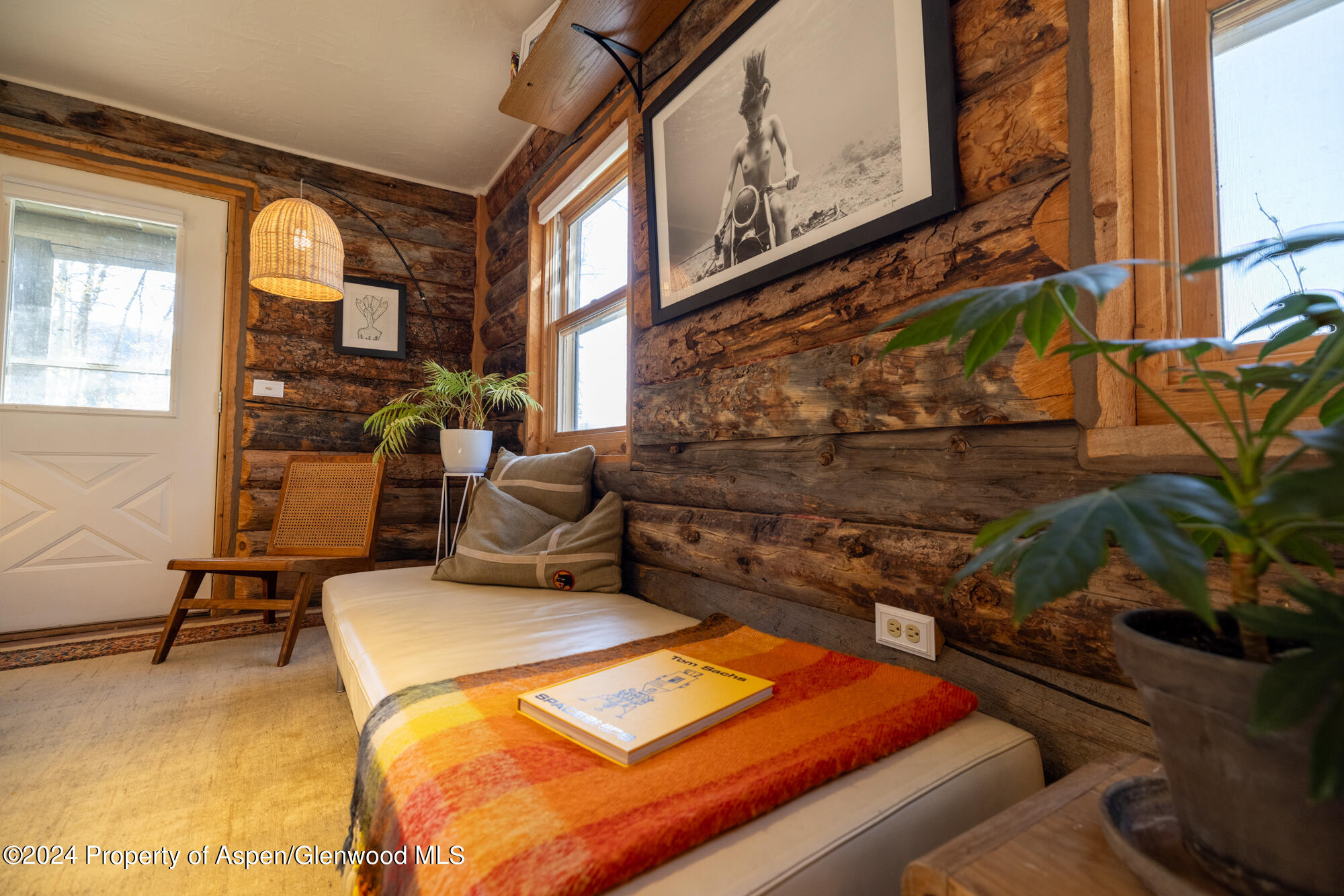 390 Hawk Lane Basalt CO 81621