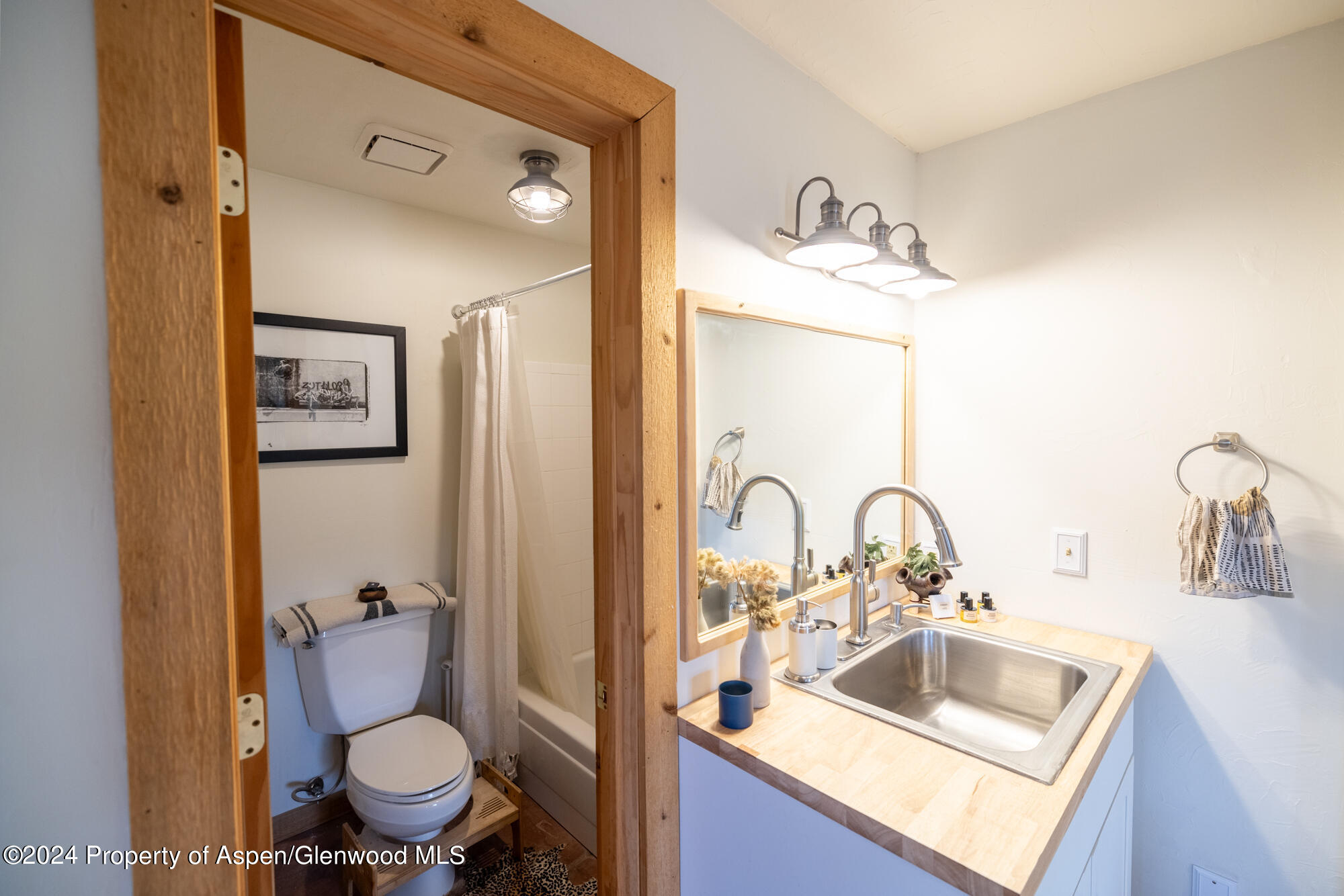 390 Hawk Lane Basalt CO 81621
