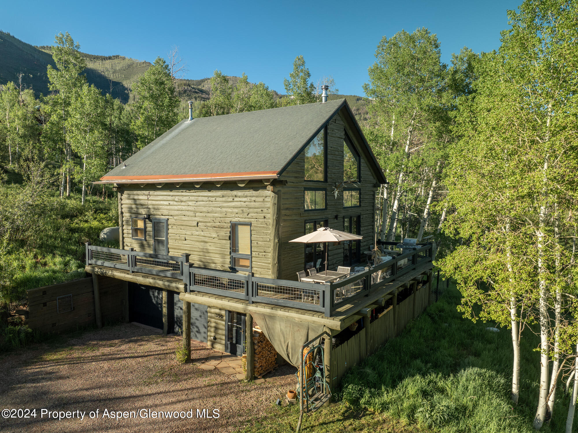 390 Hawk Lane Basalt CO 81621