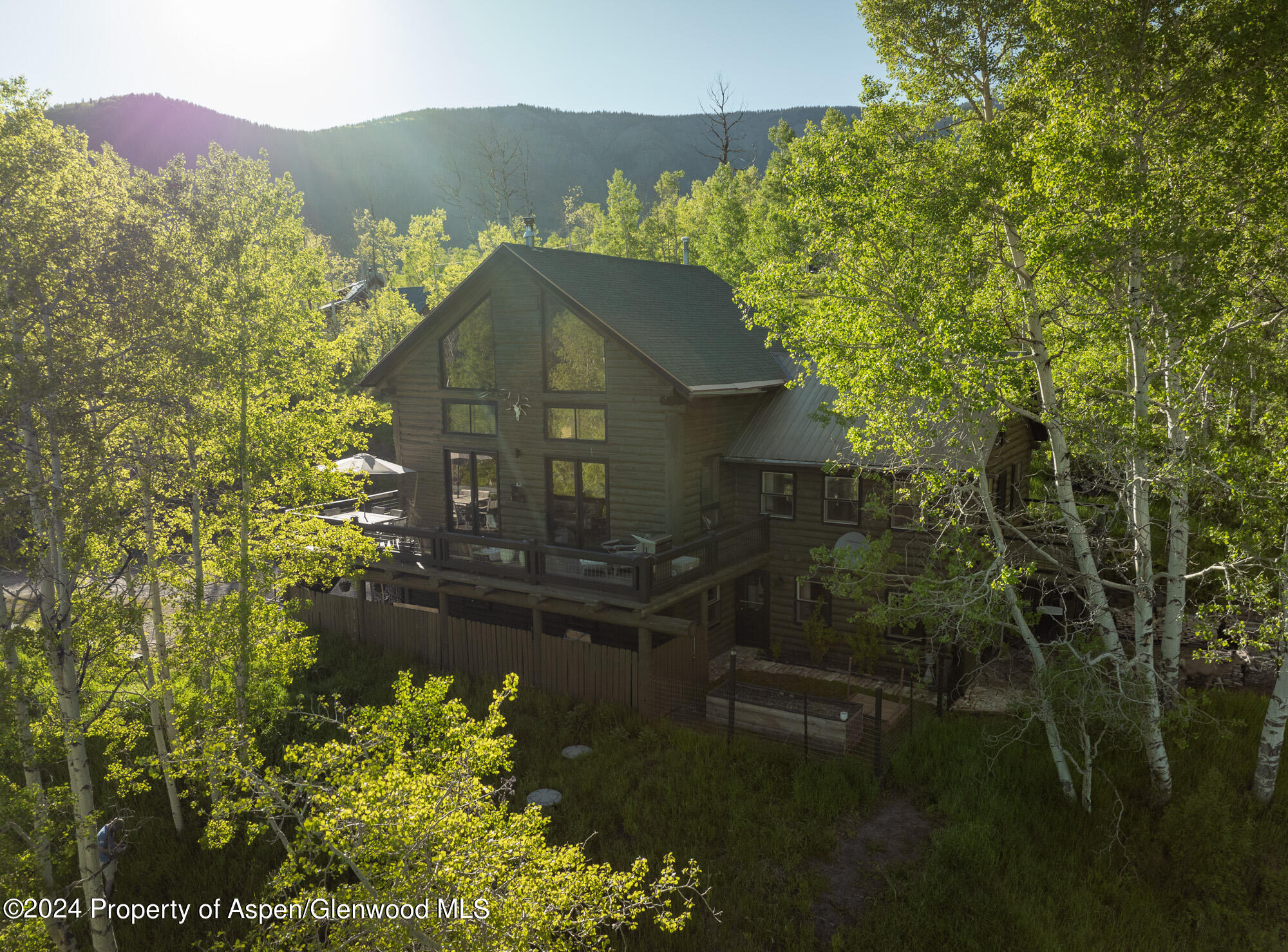 390 Hawk Lane Basalt CO 81621