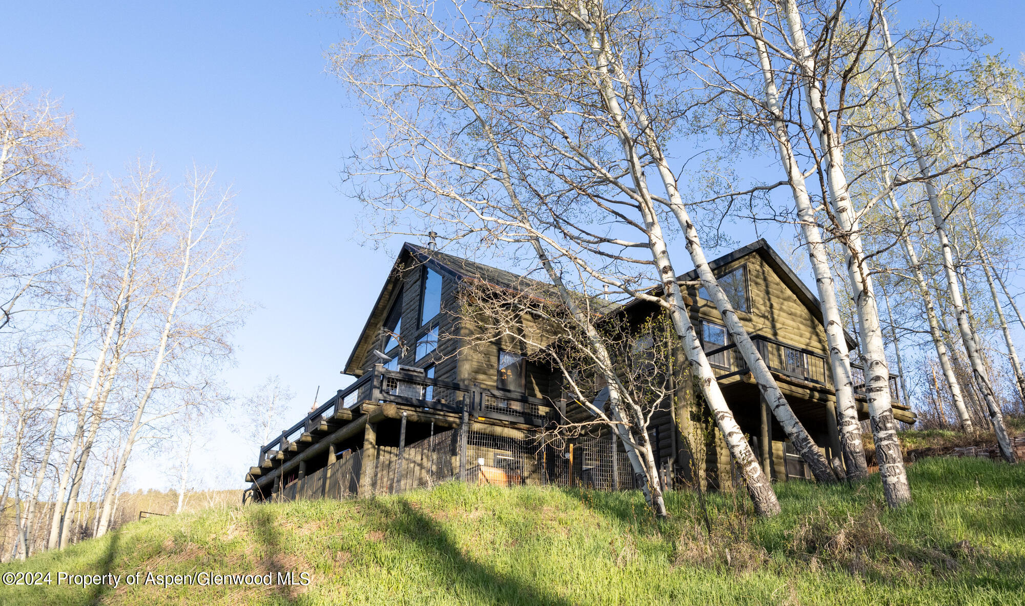 390 Hawk Lane Basalt CO 81621
