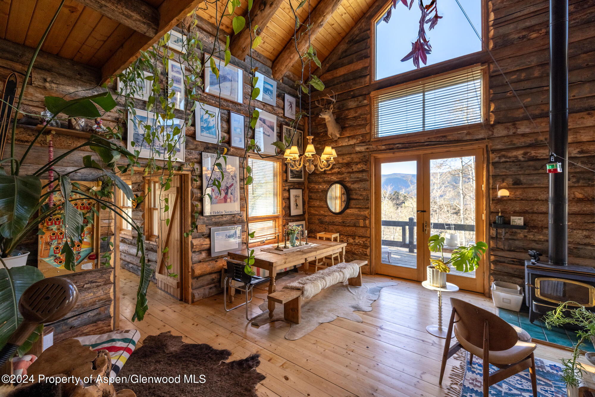 390 Hawk Lane Basalt CO 81621
