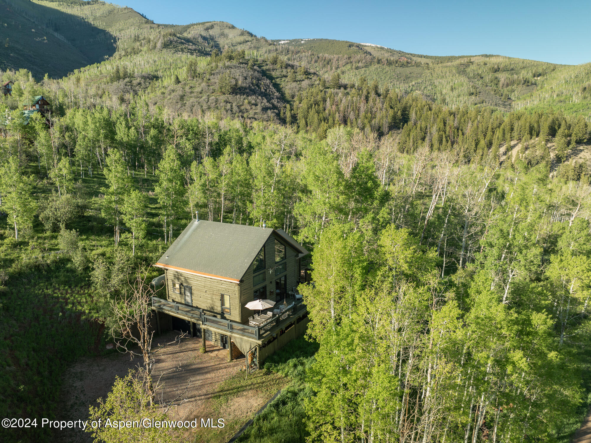 390 Hawk Lane Basalt CO 81621